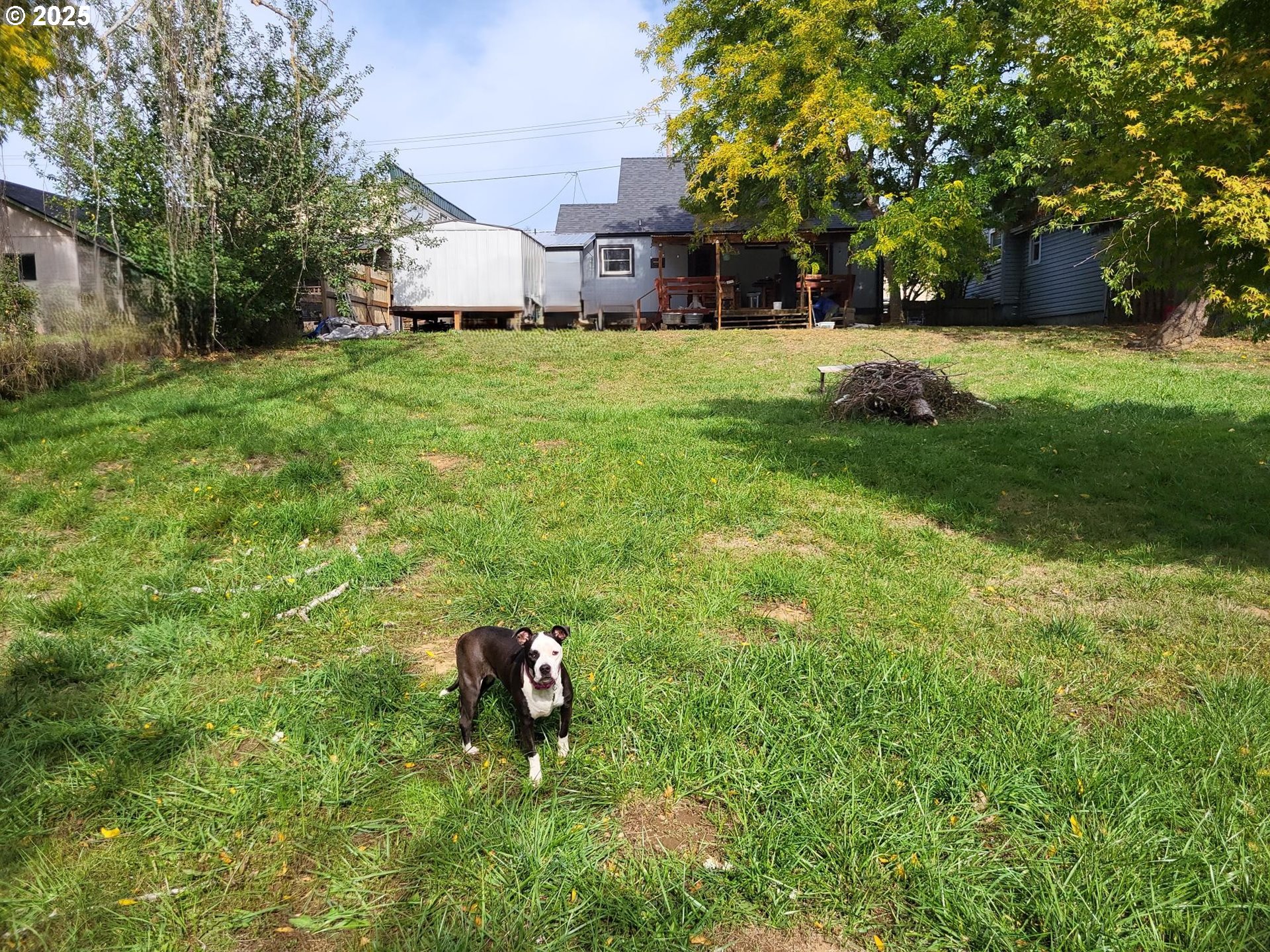property viewer photo 21