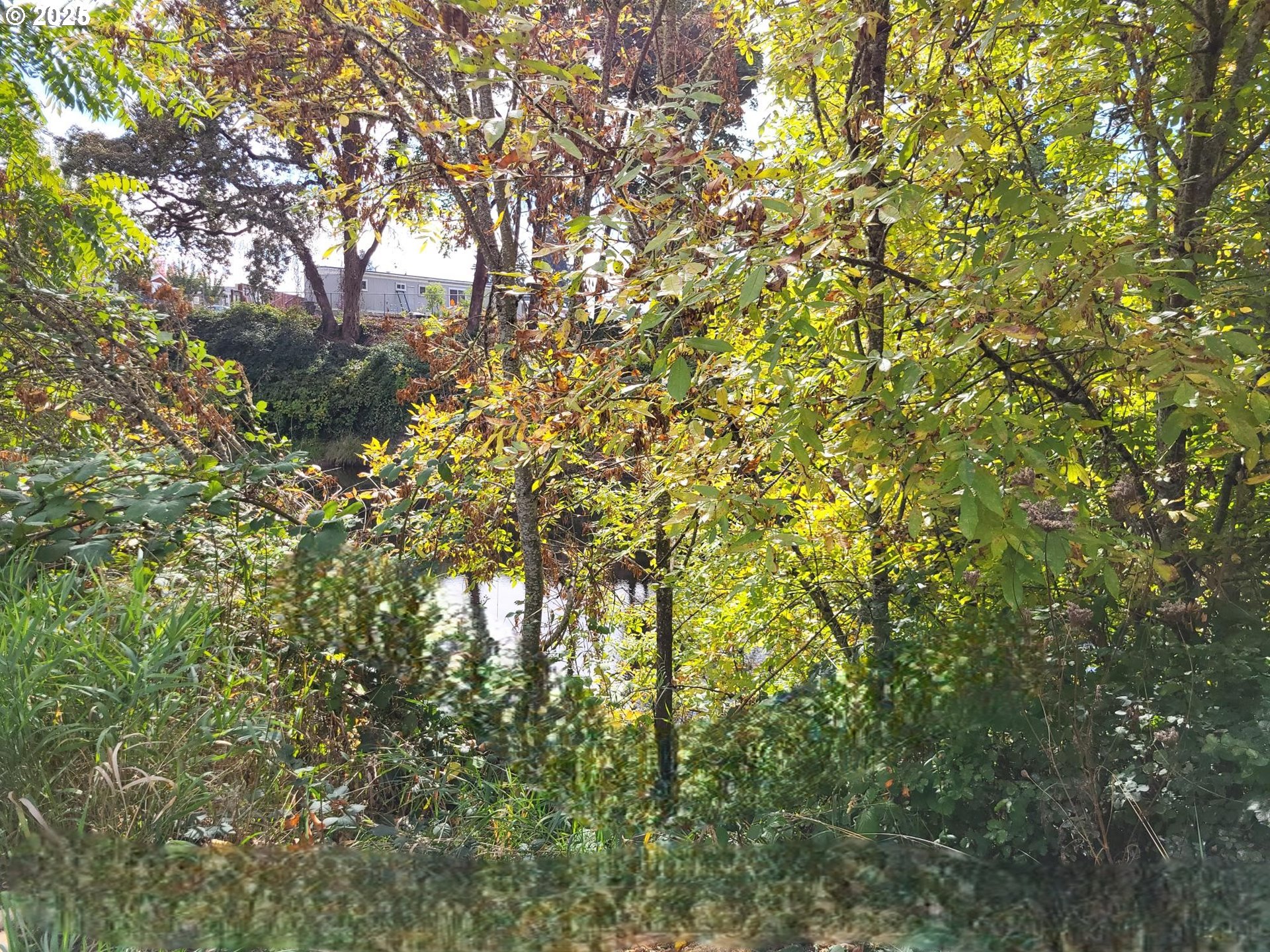 property viewer photo 23