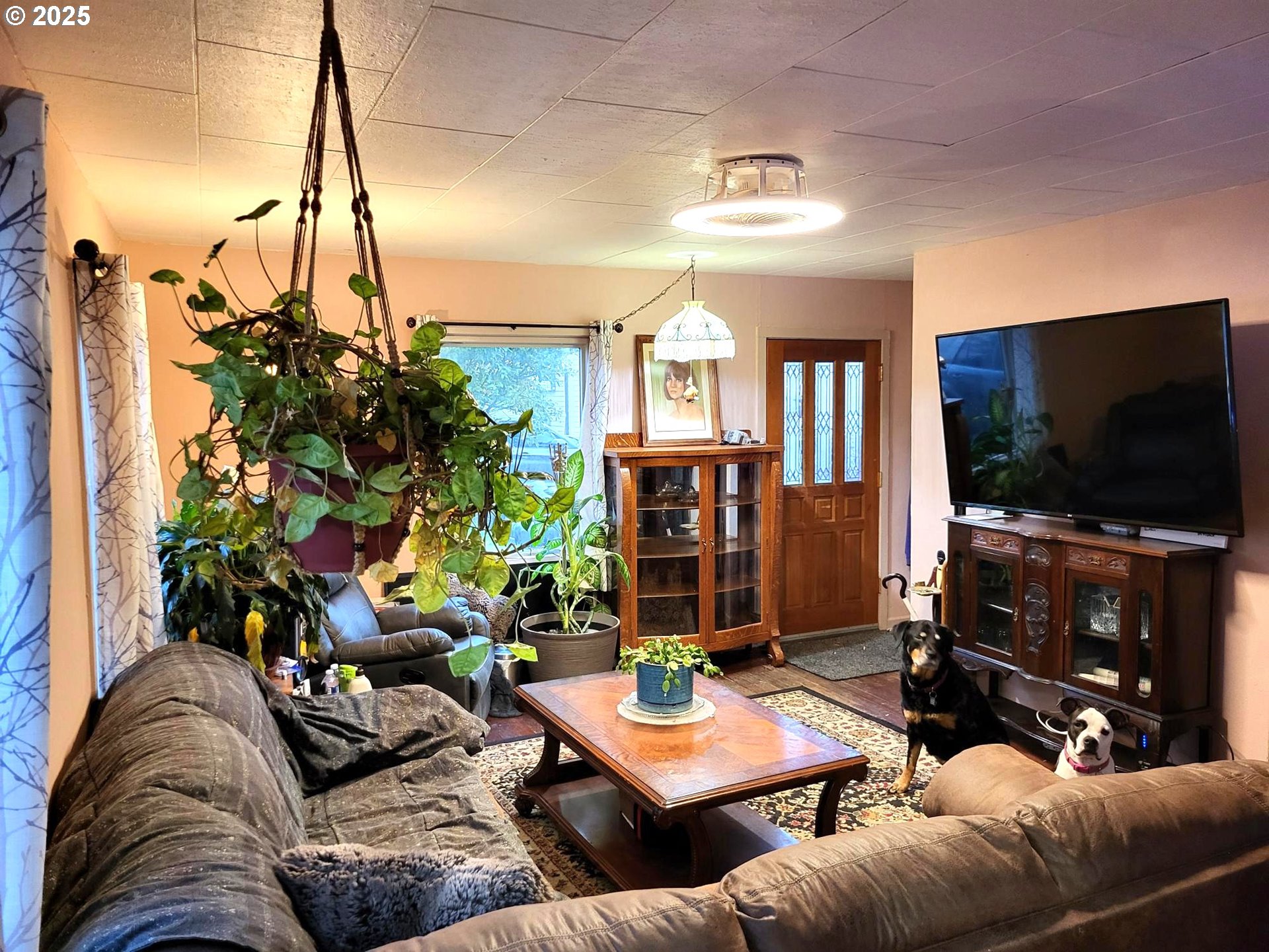 property viewer photo 3