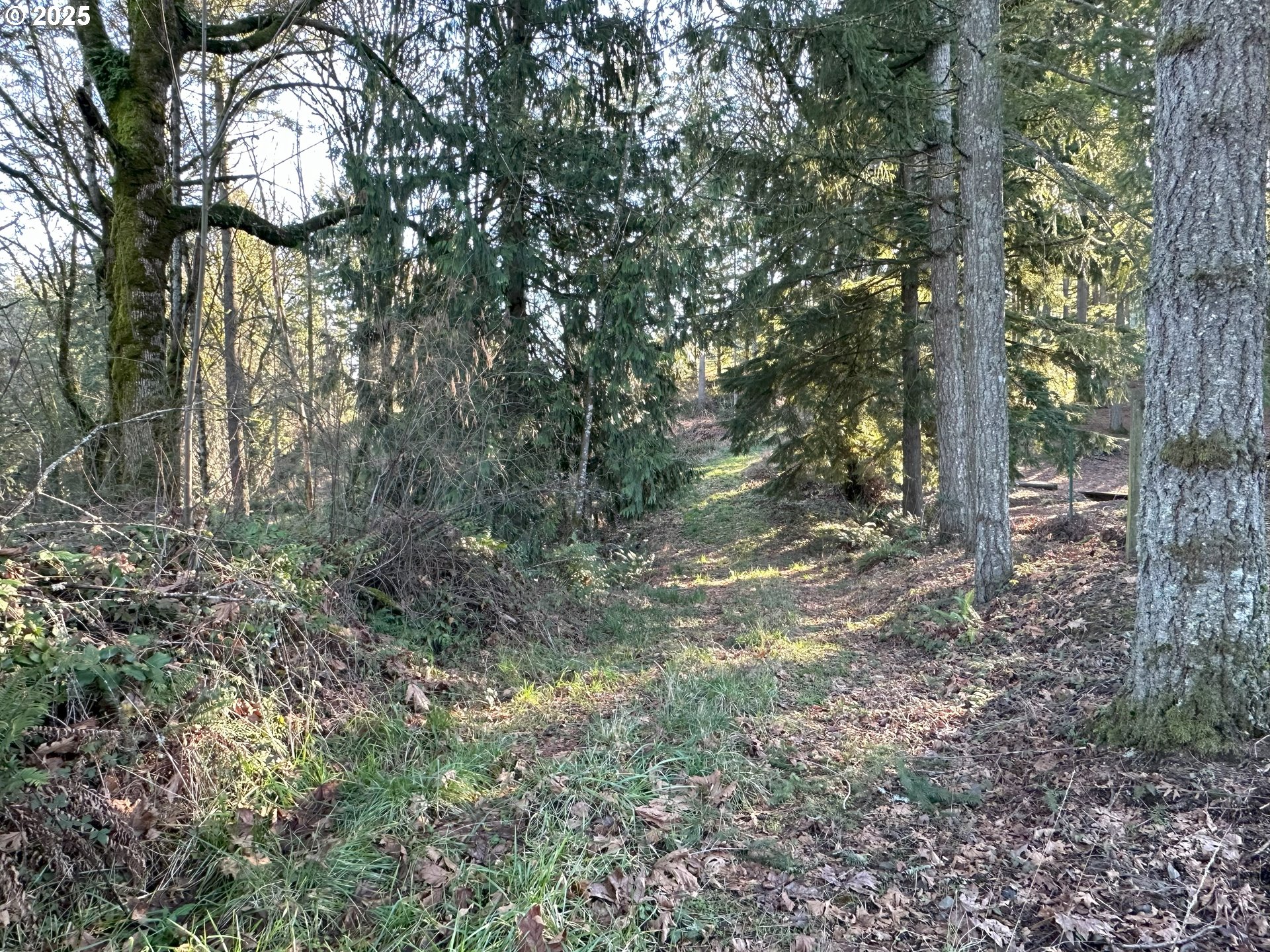 main property photo 11