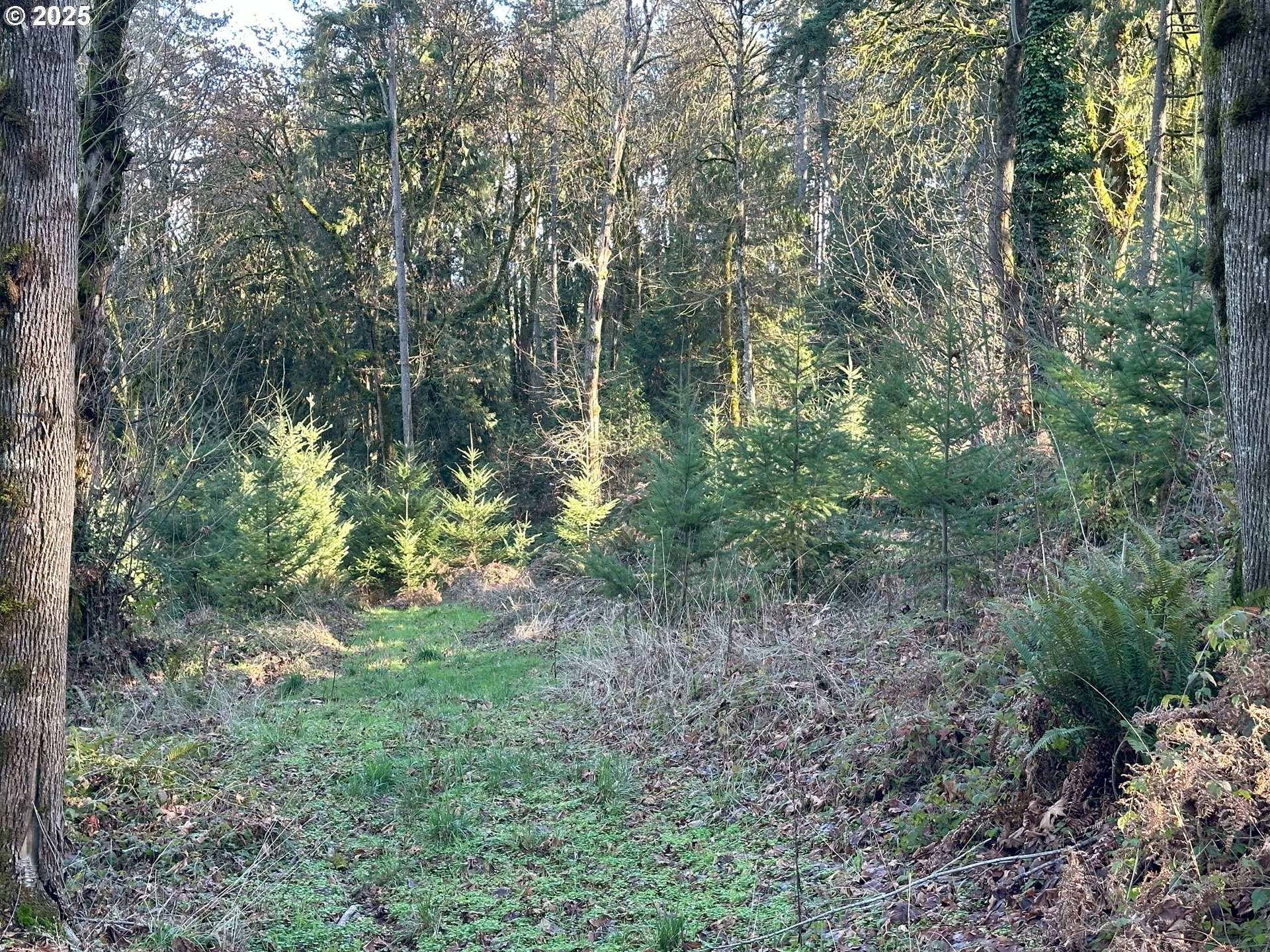 main property photo 13