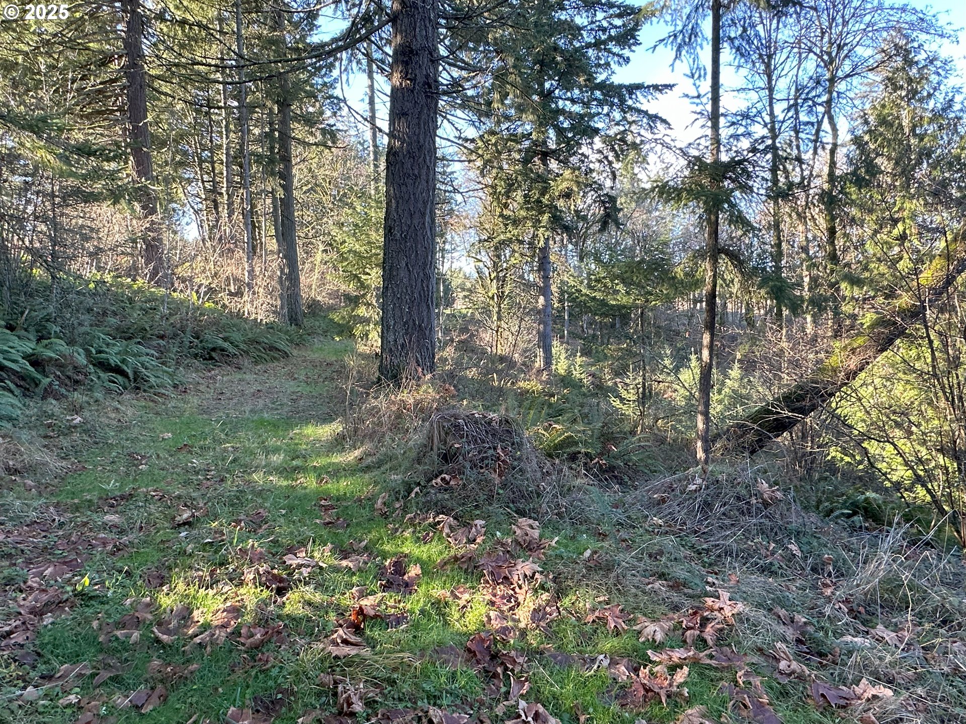 main property photo 14