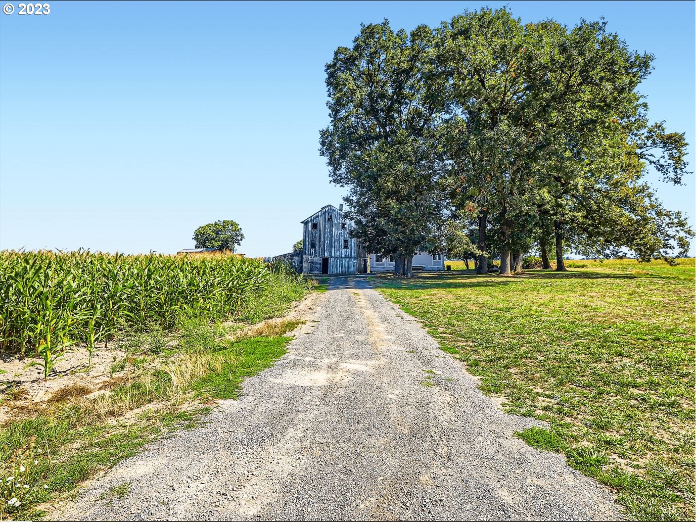 main property photo 10
