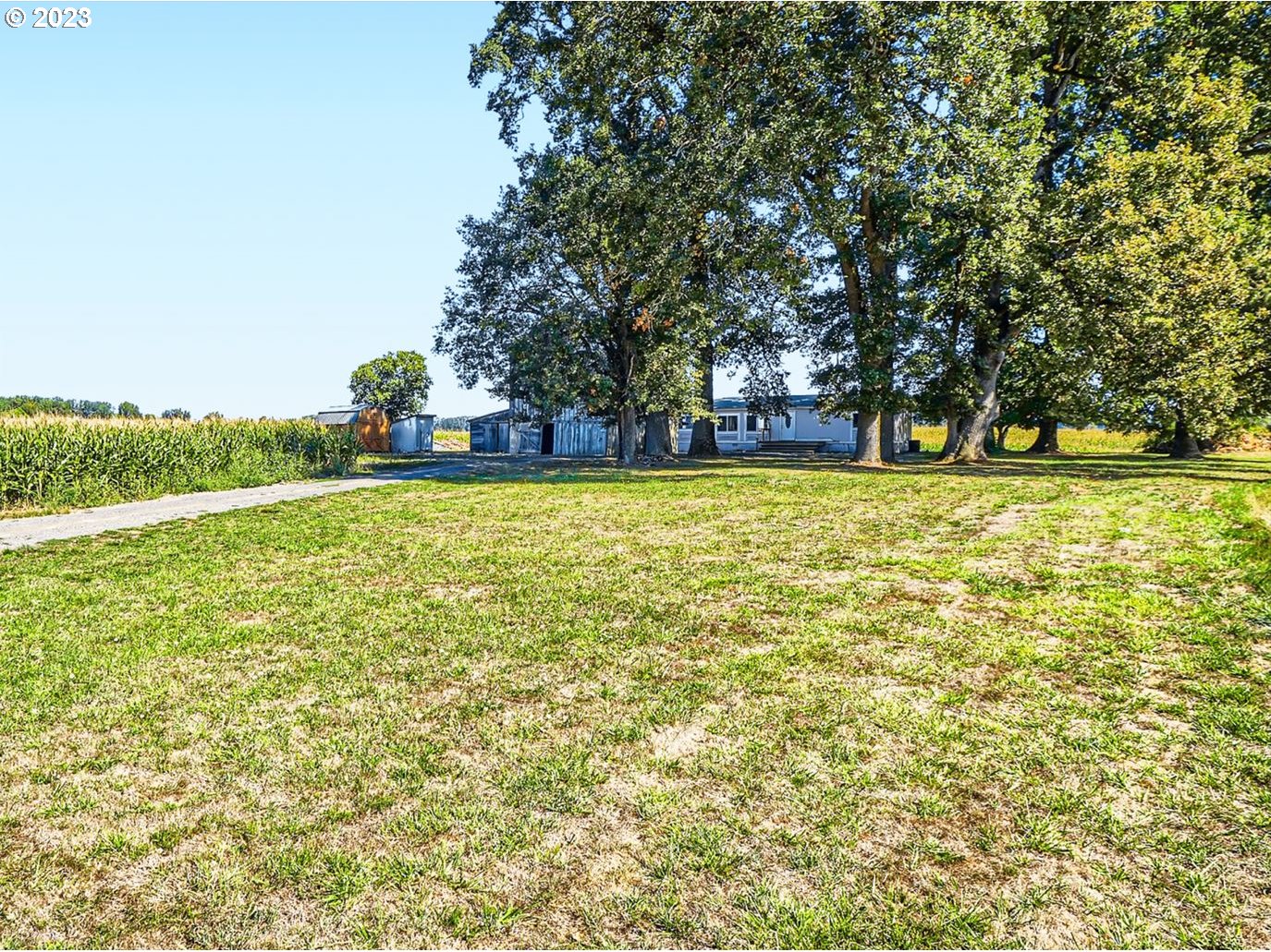 main property photo 11