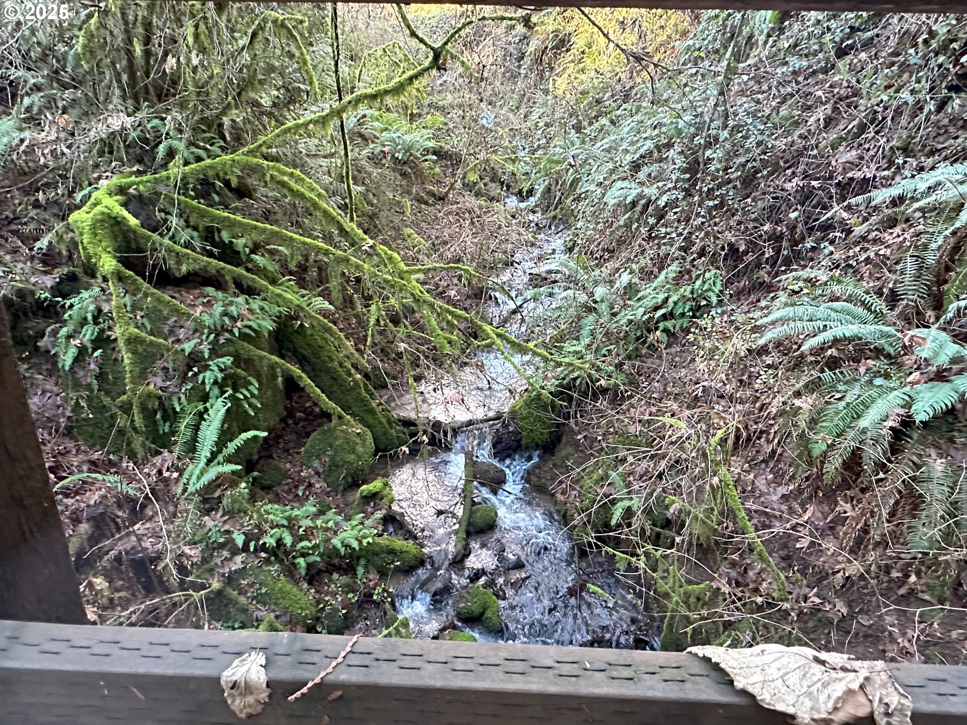 main property photo 11
