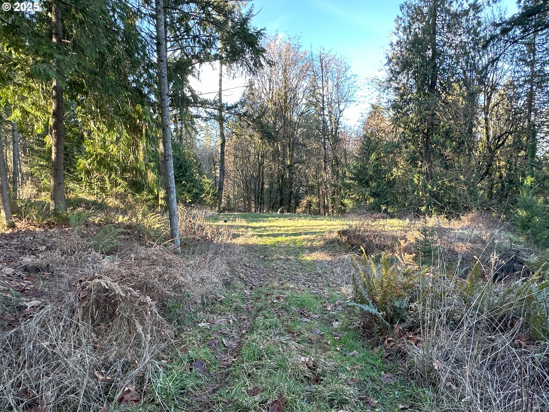 main property photo 6