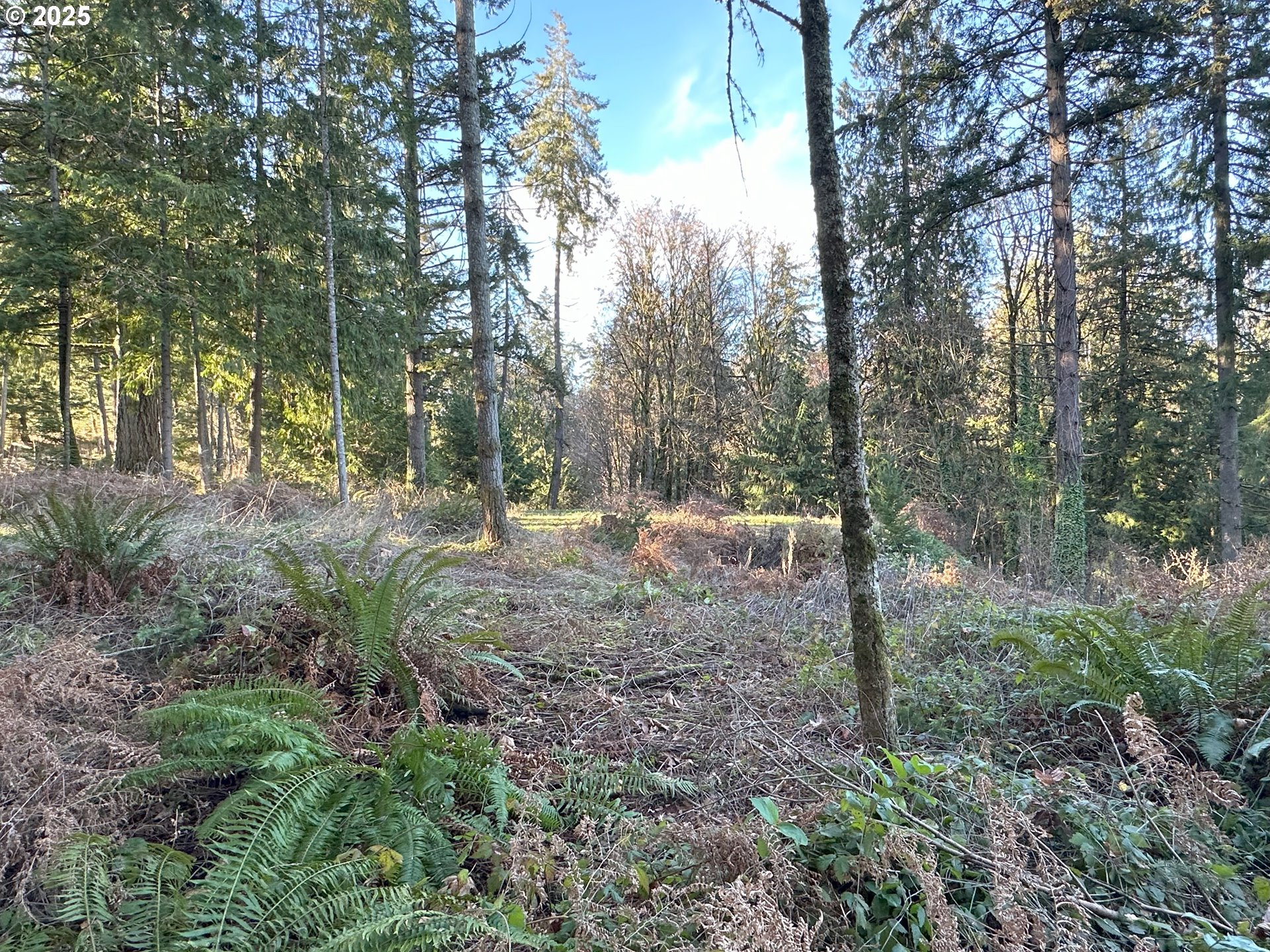 main property photo 7