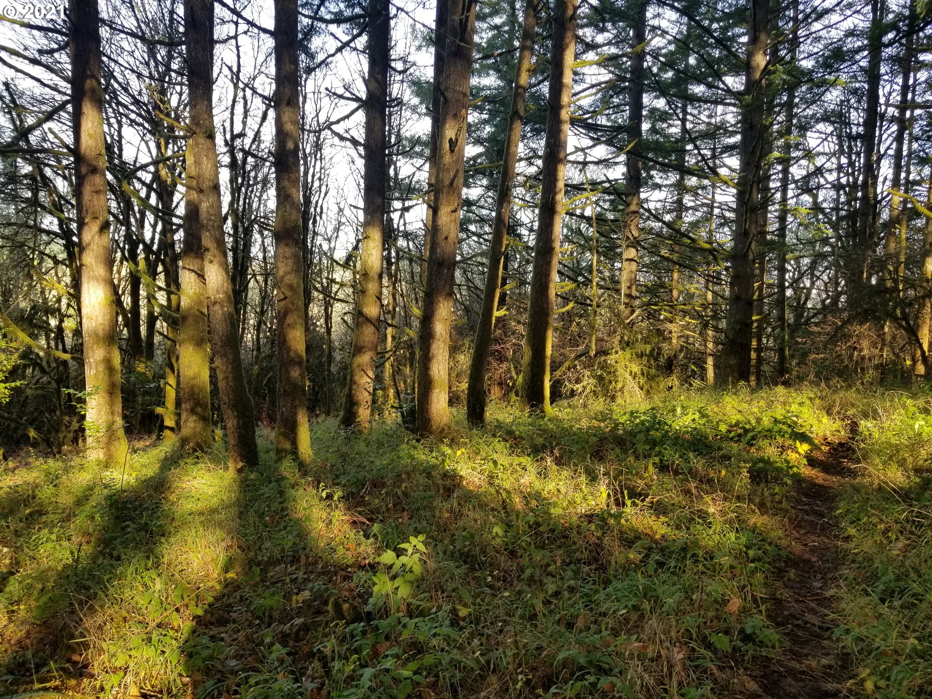 main property photo 10
