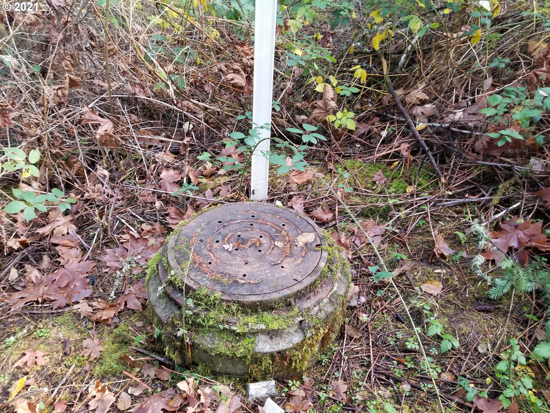 main property photo 15
