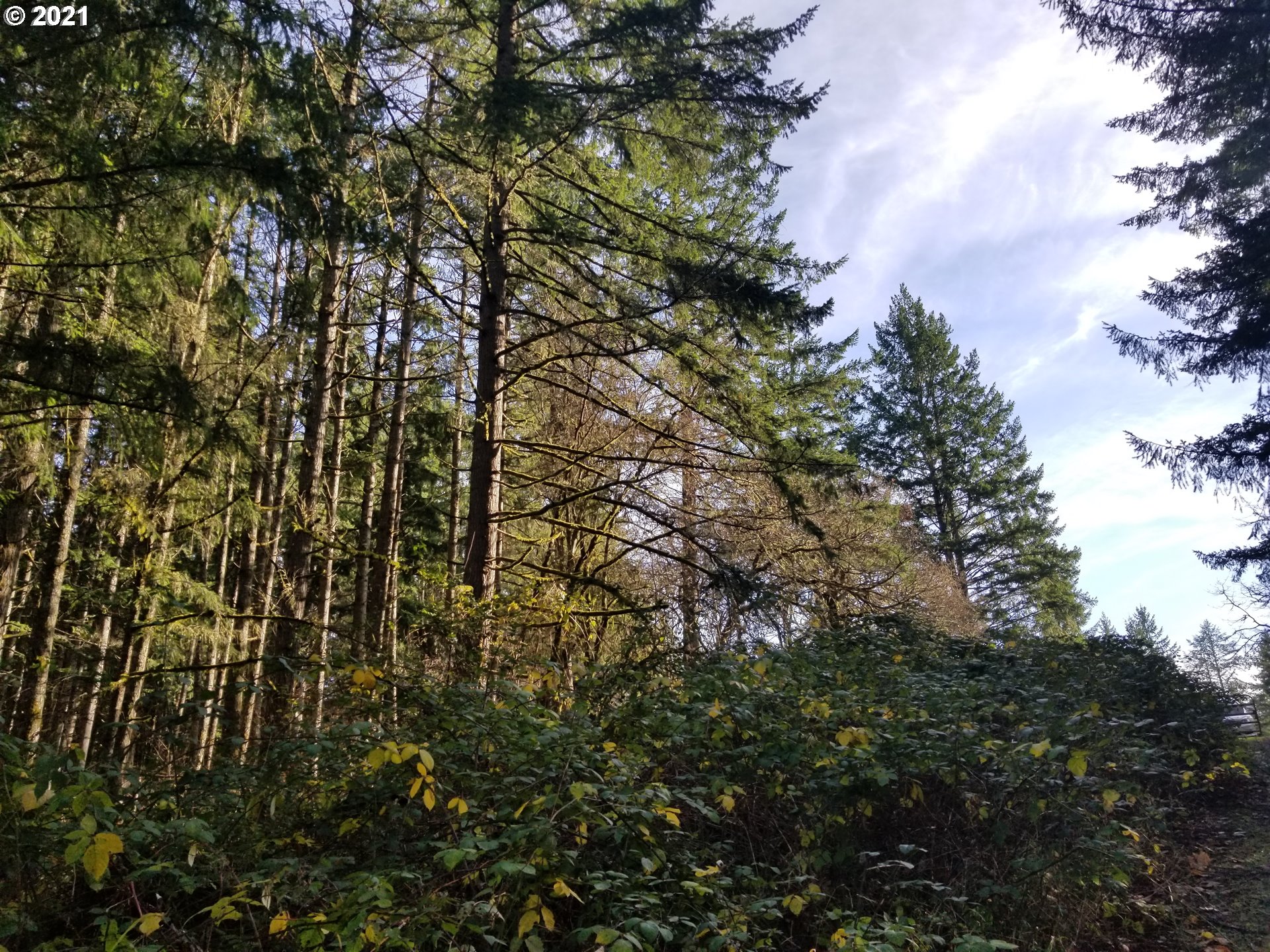 main property photo 16