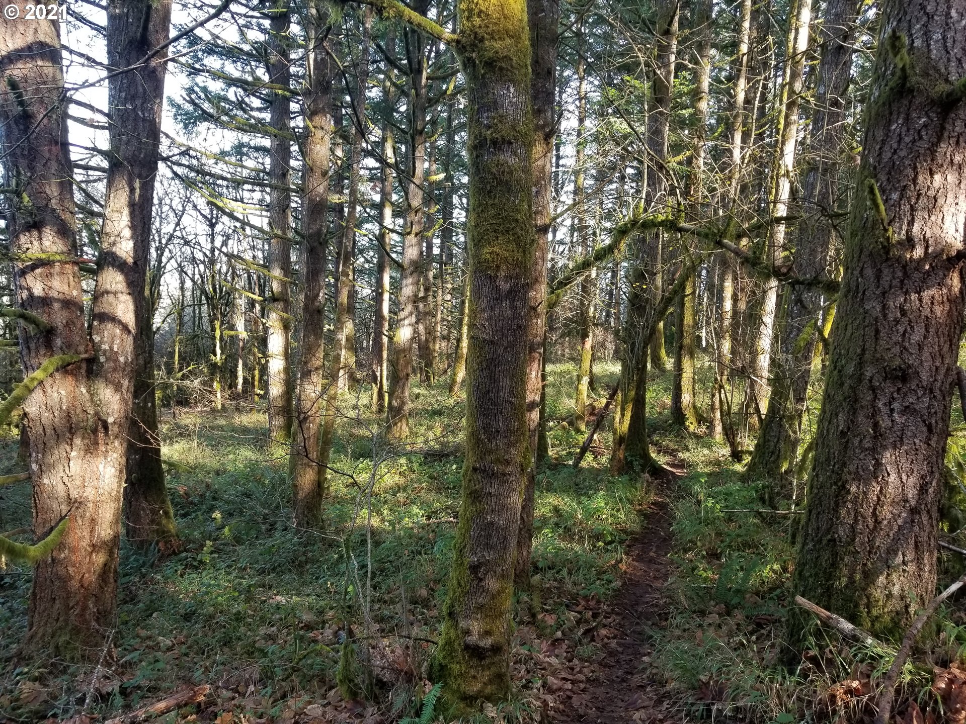 main property photo 9