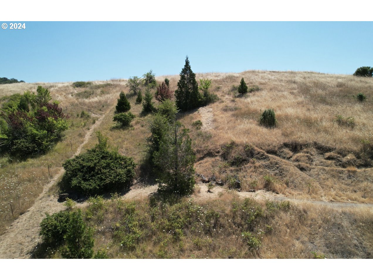 property viewer photo 6