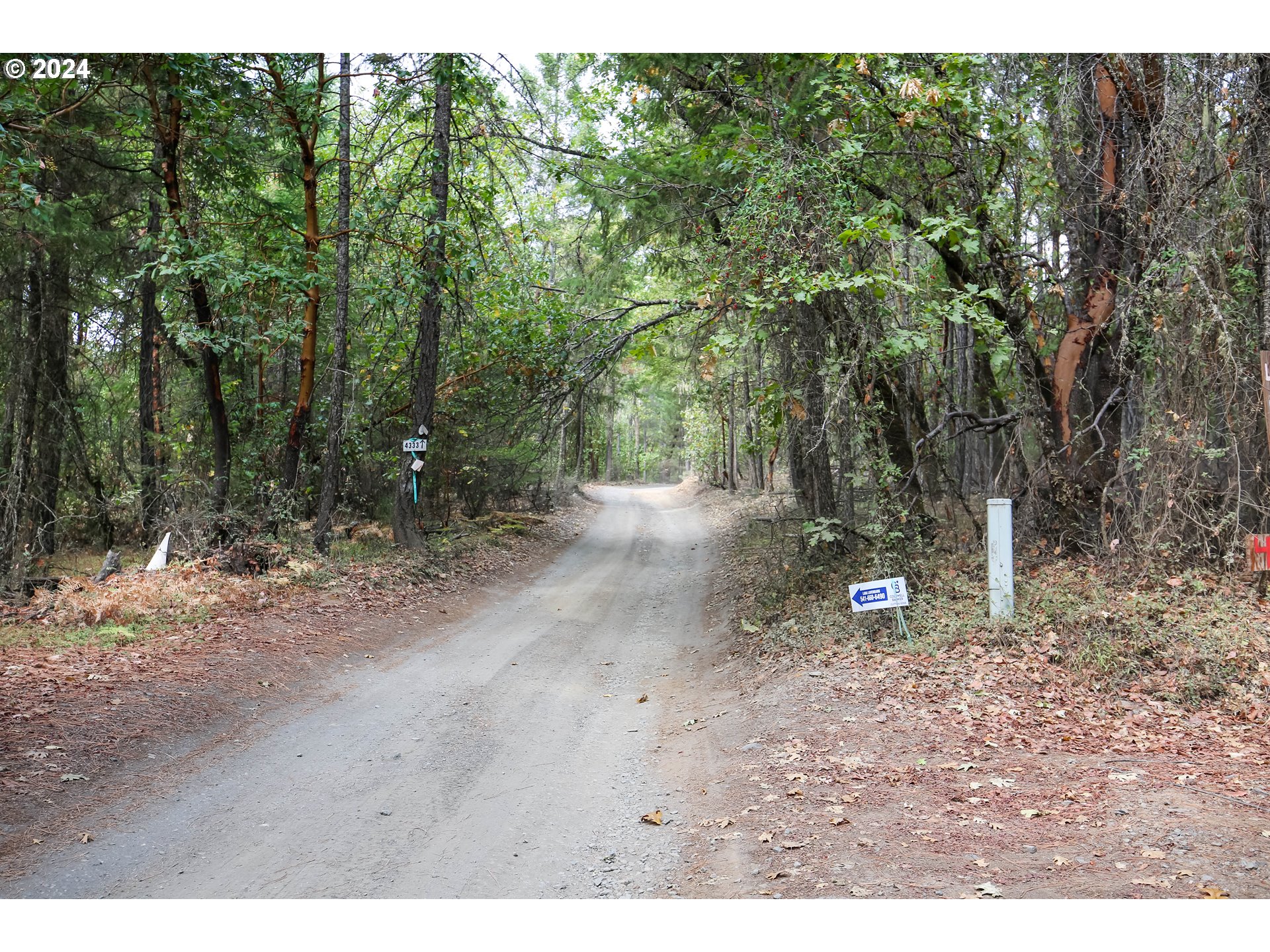 main property photo 19