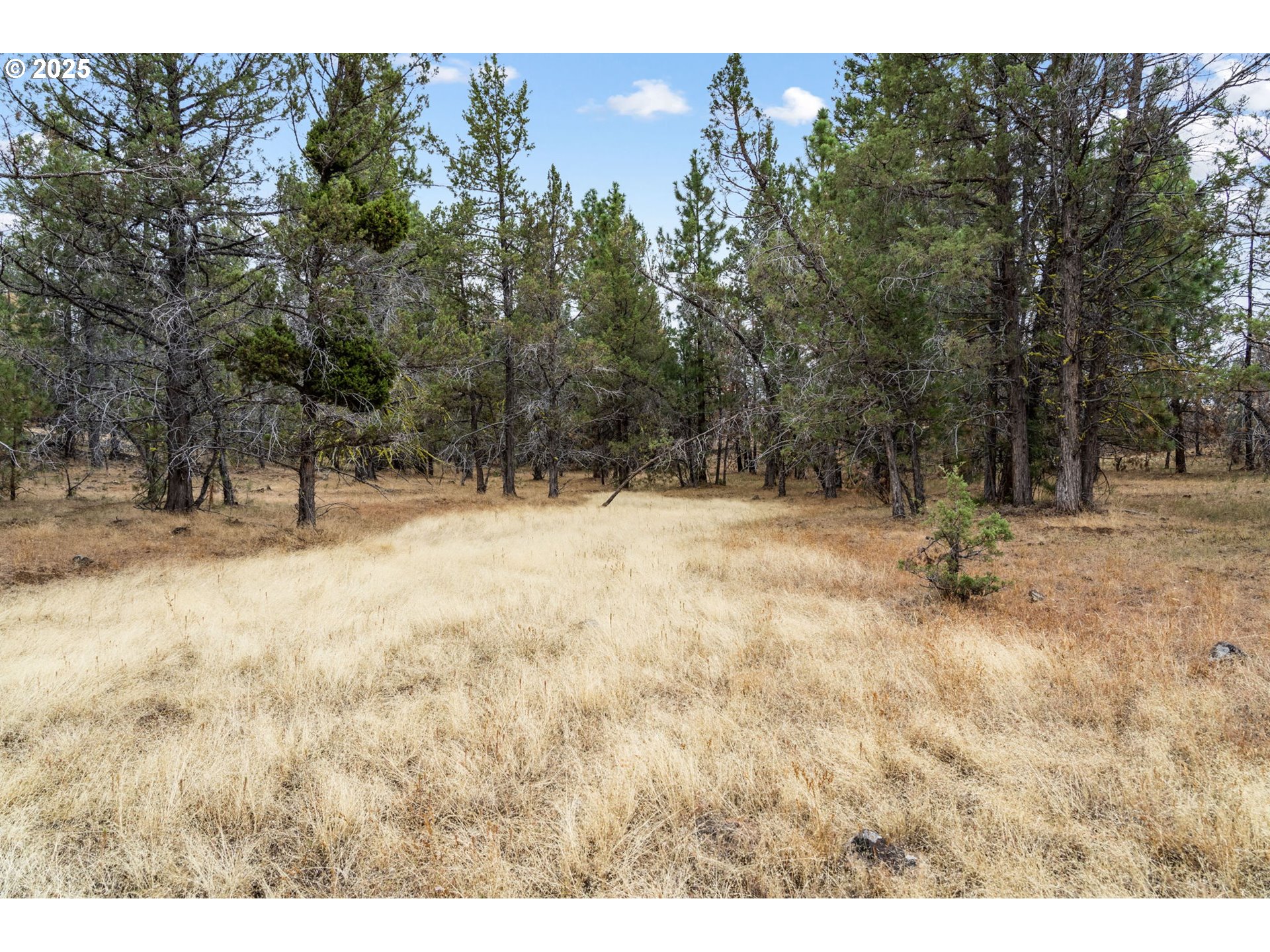 property viewer photo 1