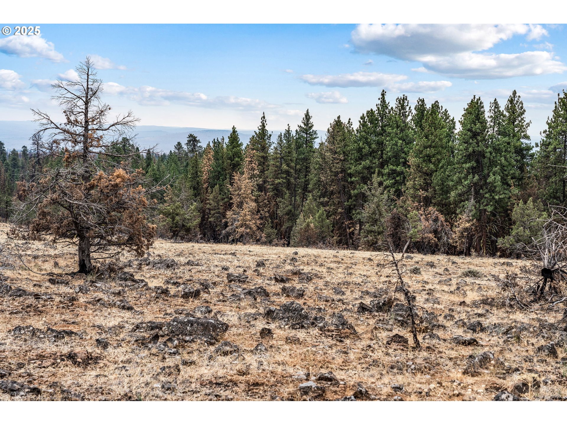 property viewer photo 11