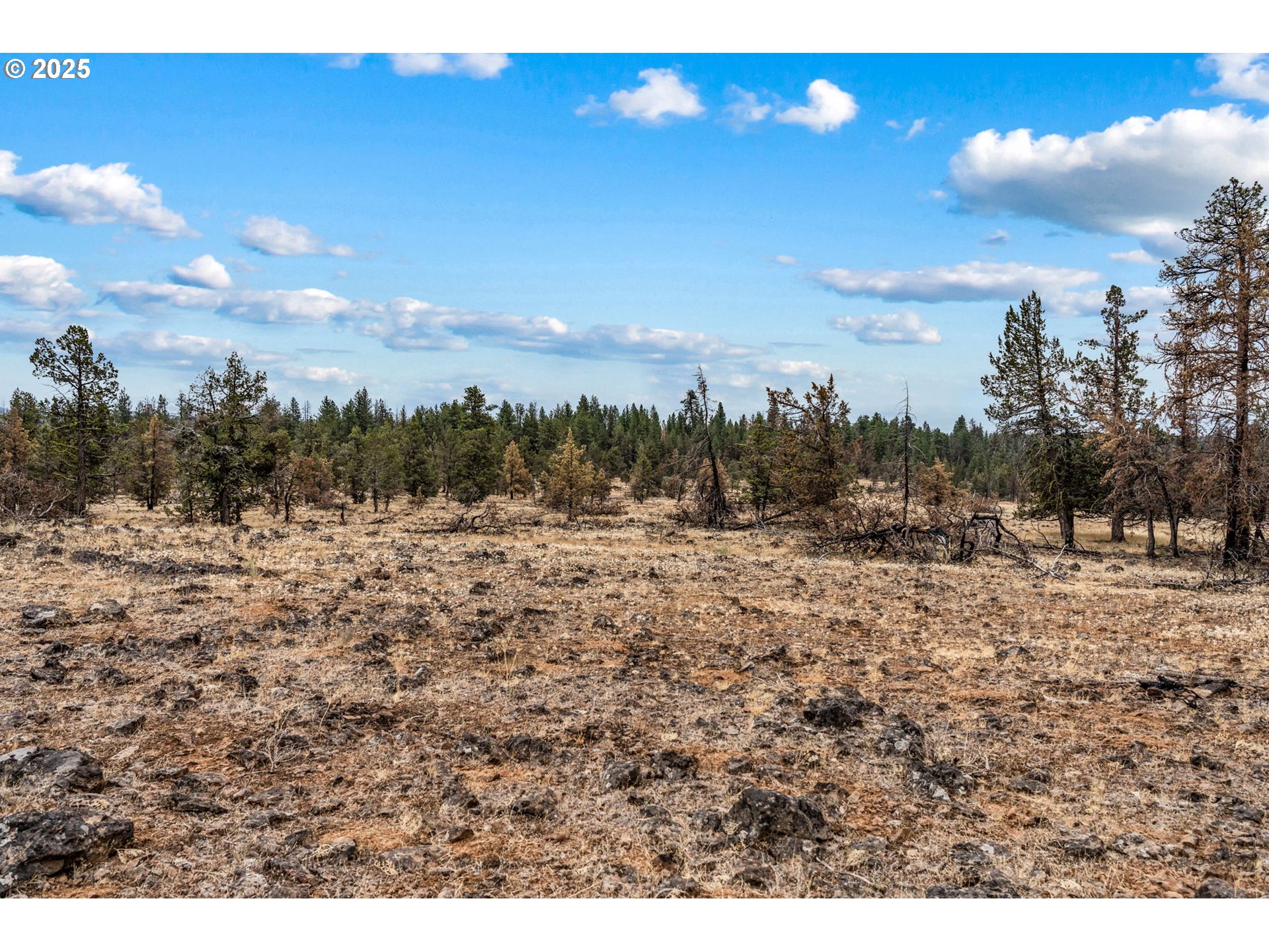 property viewer photo 12