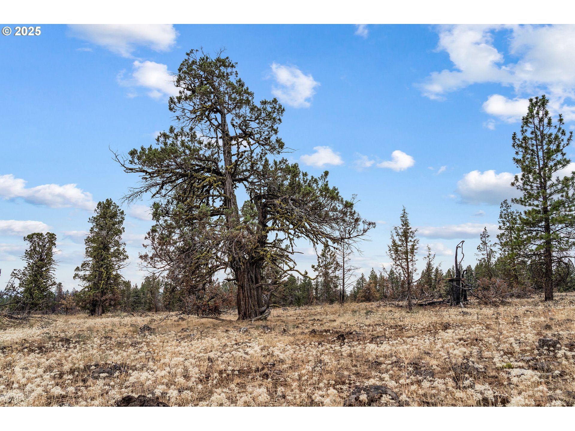 property viewer photo 13