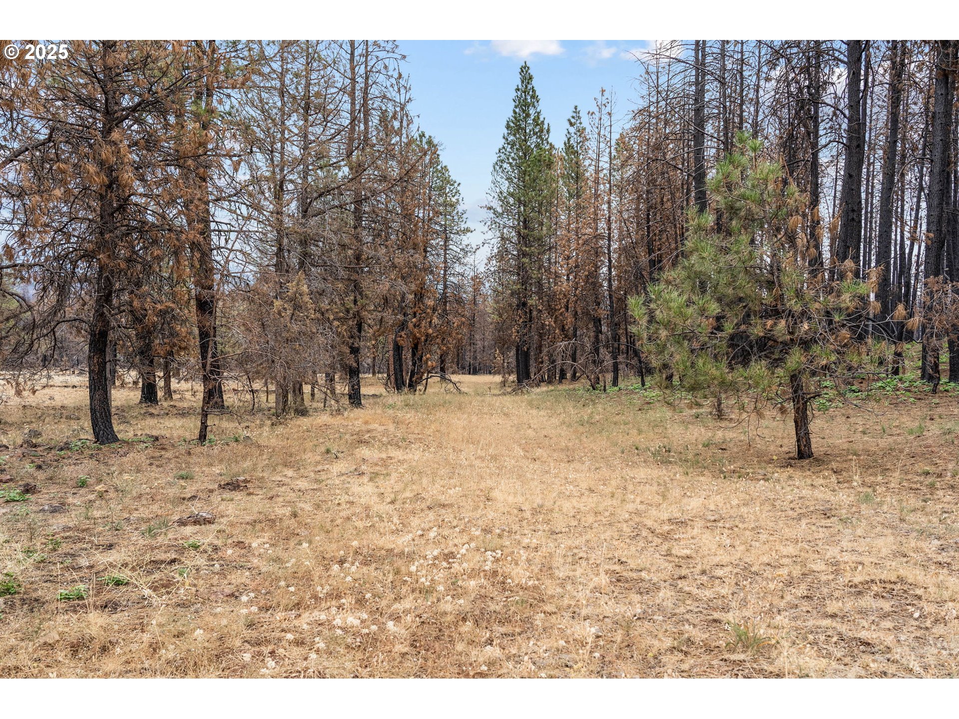 property viewer photo 14
