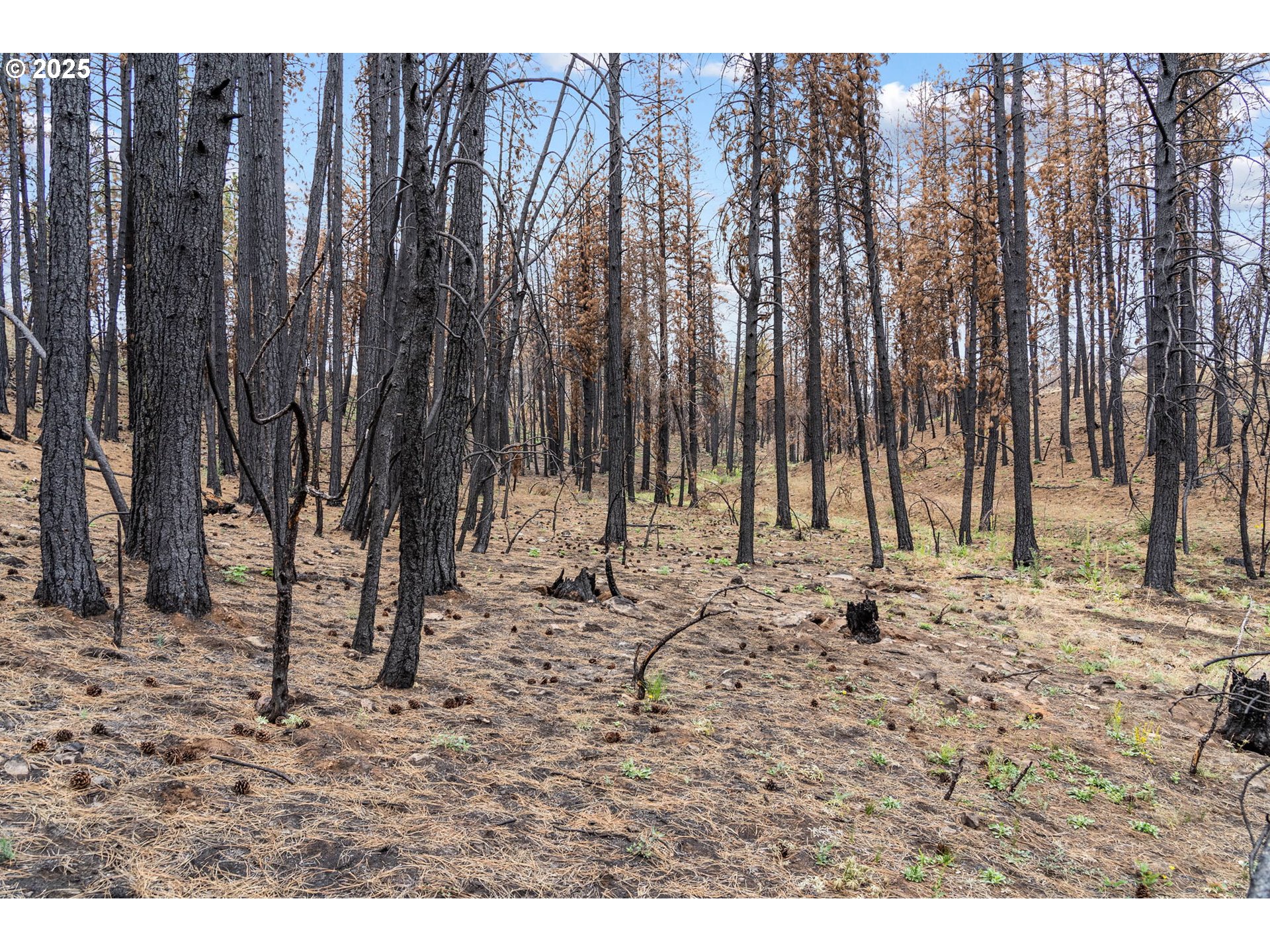 property viewer photo 16