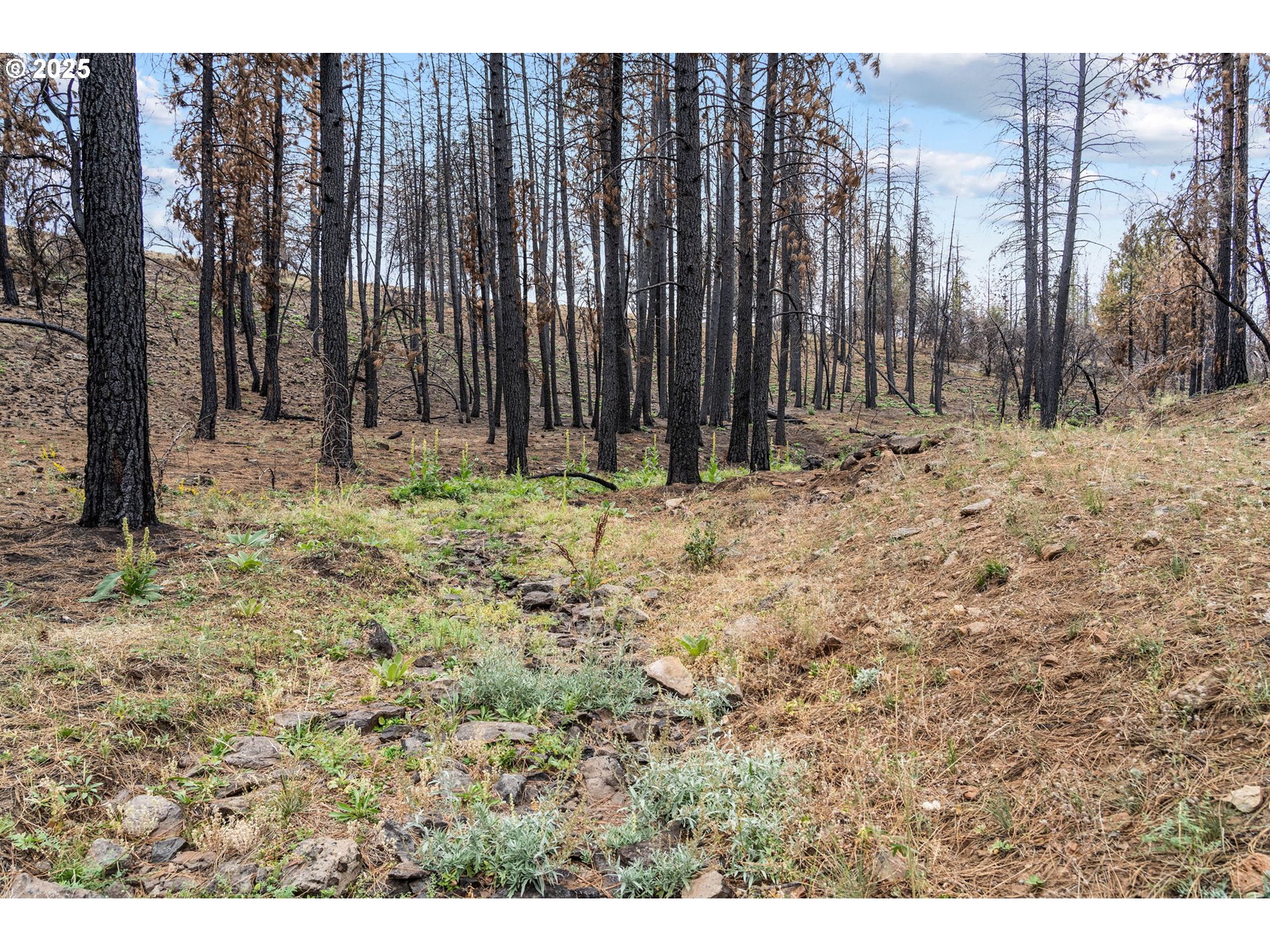 property viewer photo 17