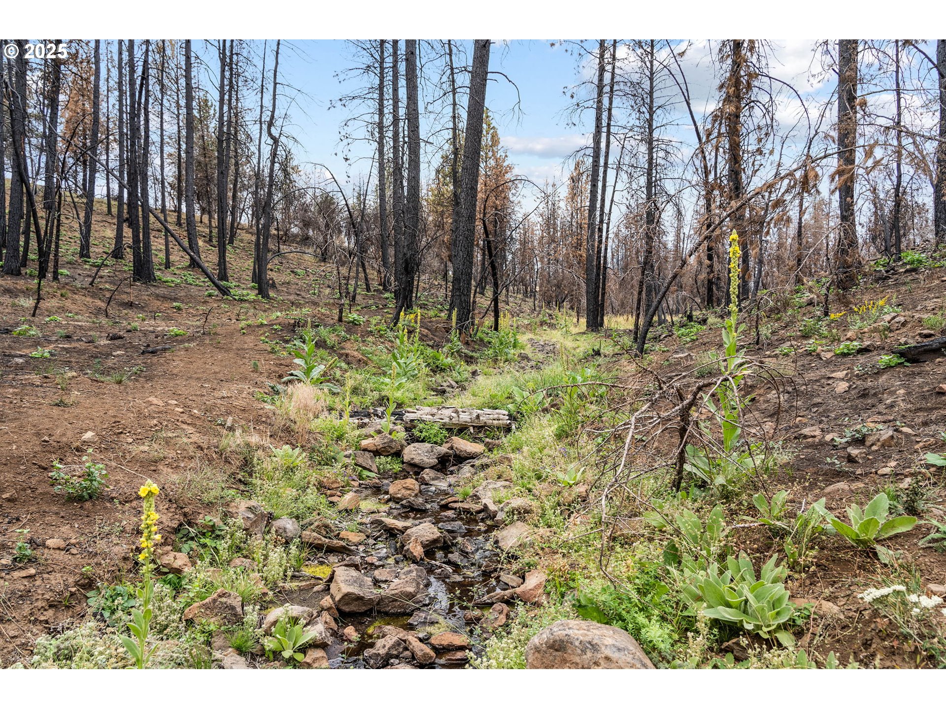 property viewer photo 18