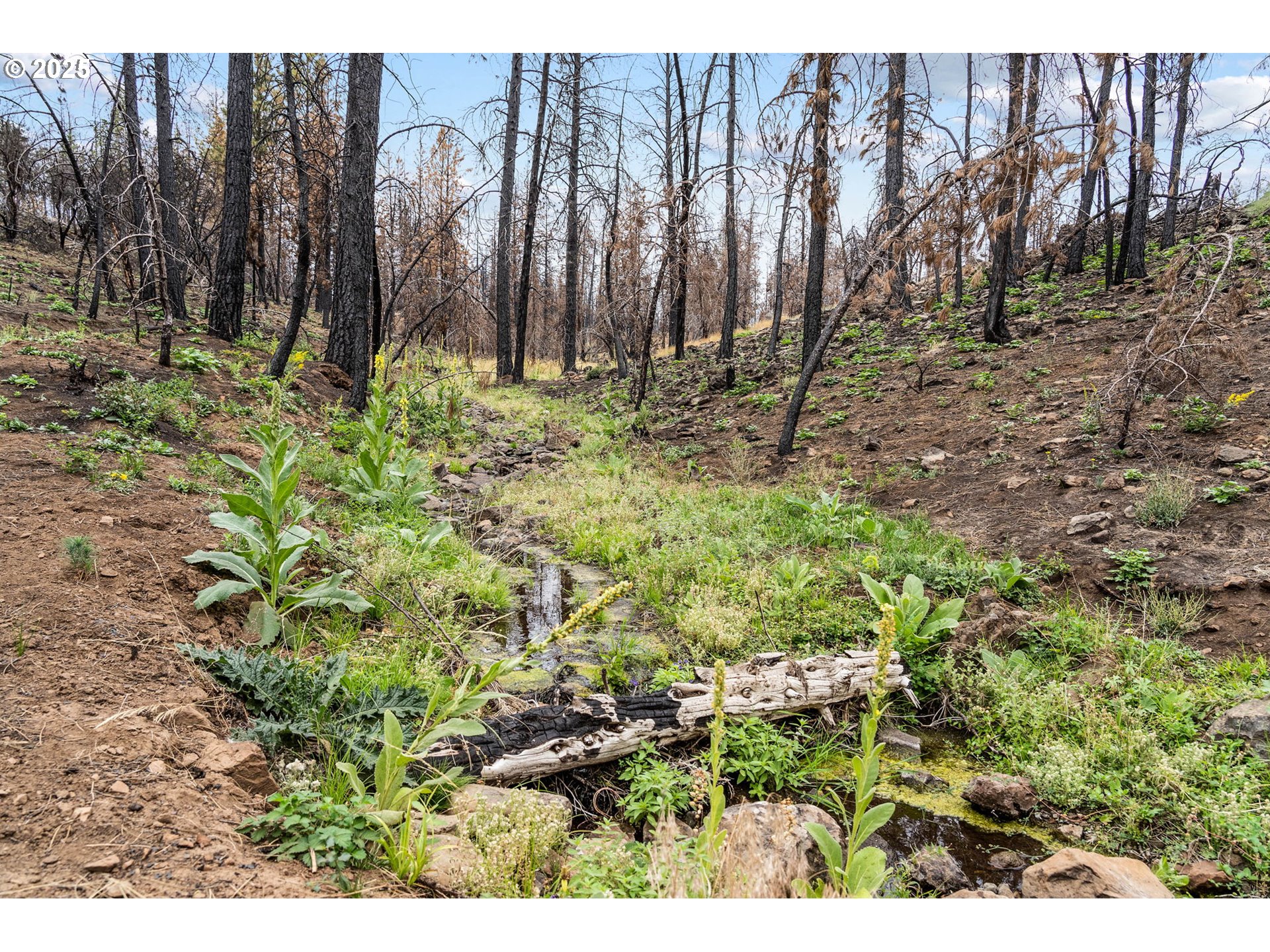 property viewer photo 19