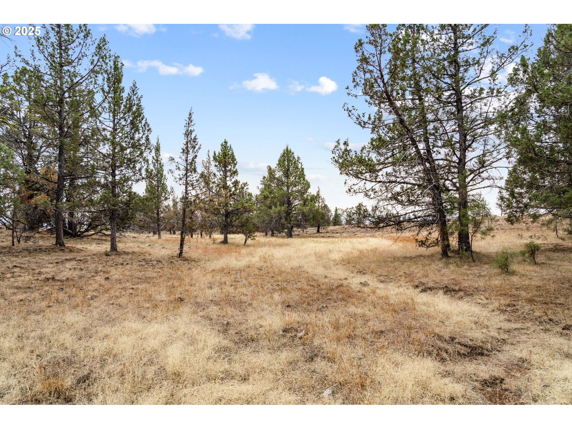 property viewer photo 2