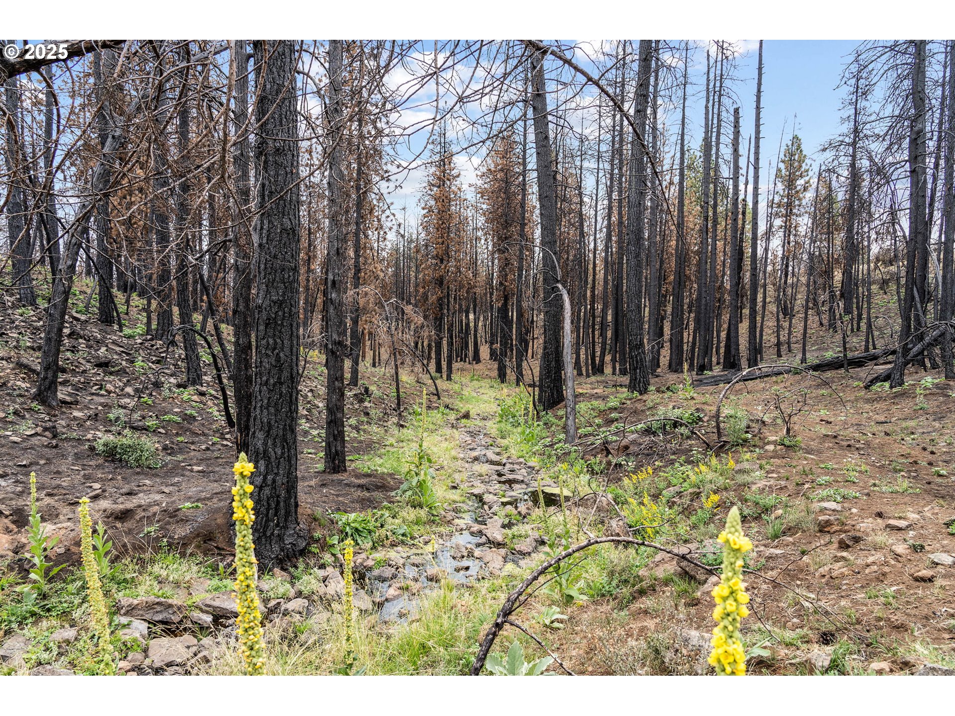 property viewer photo 20