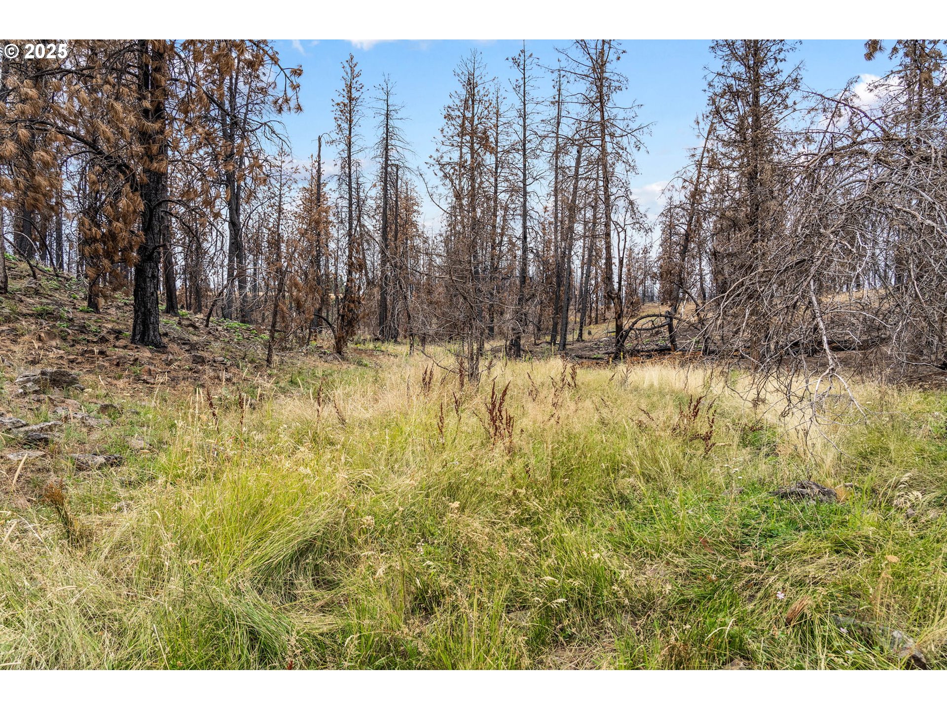 property viewer photo 21