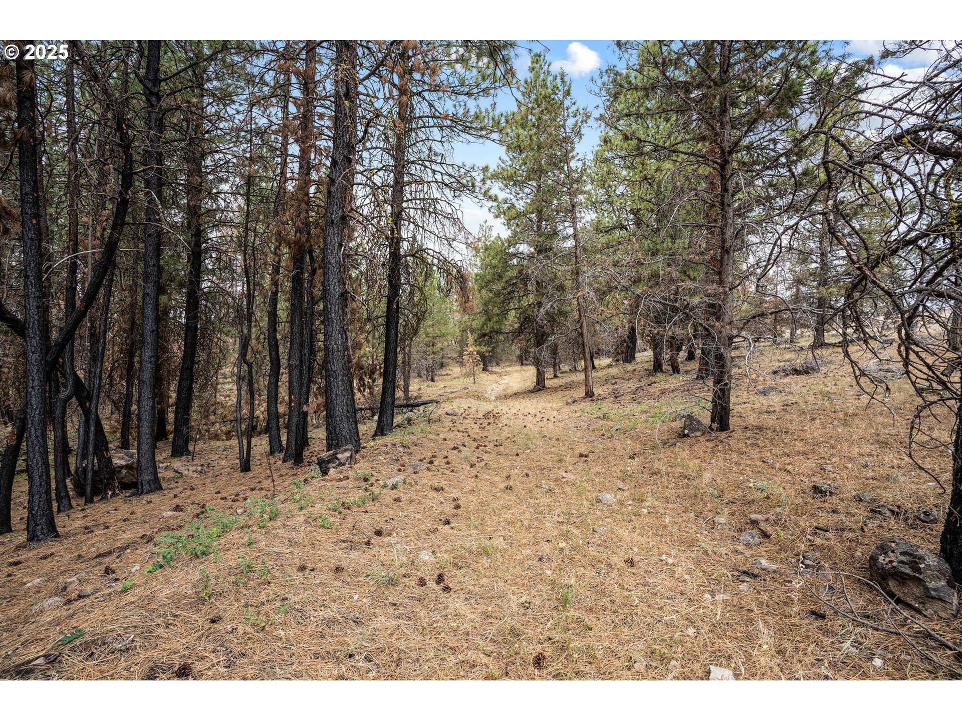property viewer photo 22
