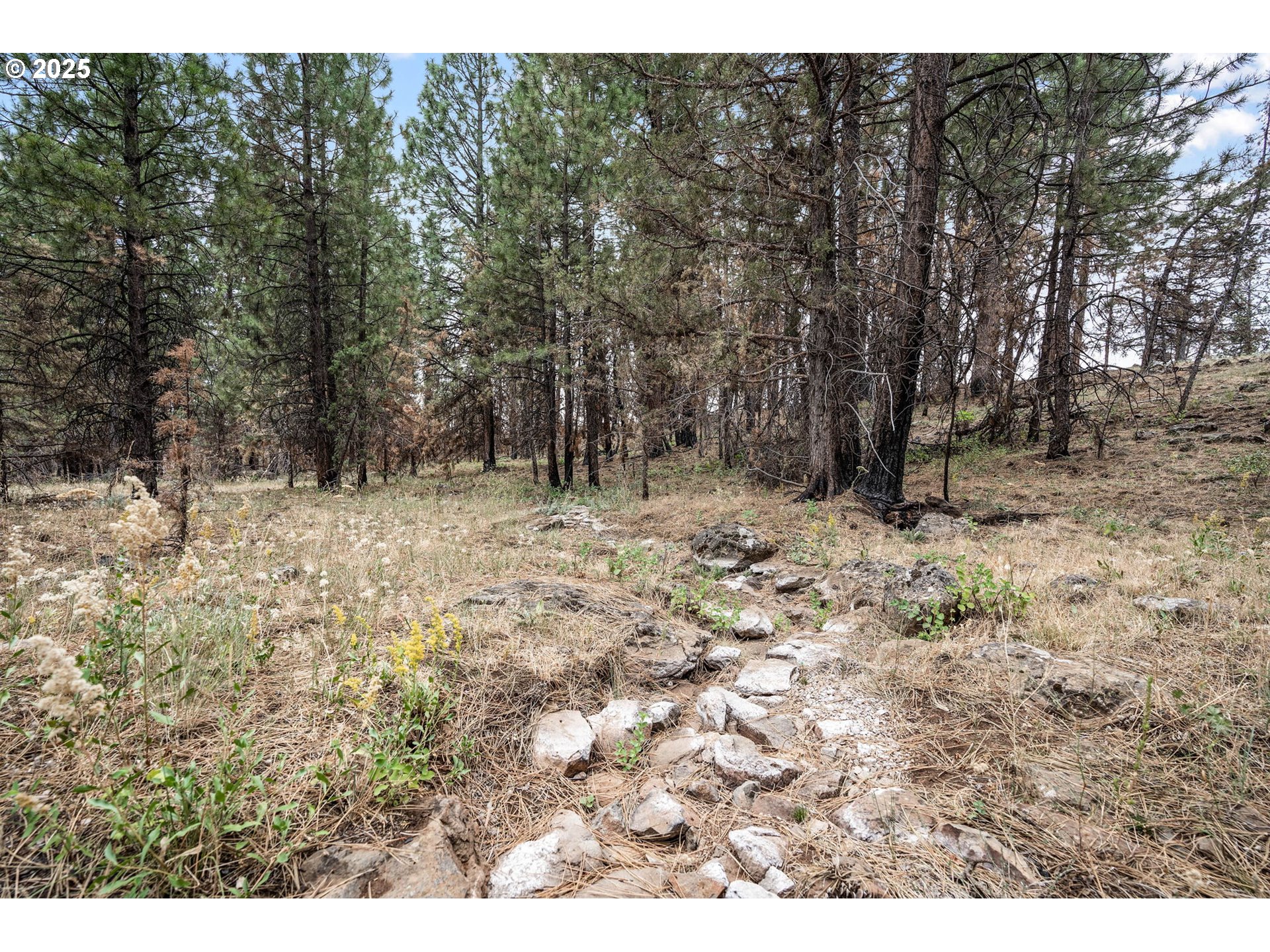 property viewer photo 24