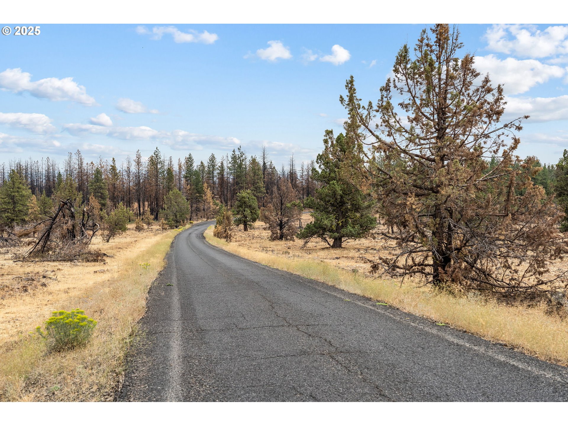 property viewer photo 25