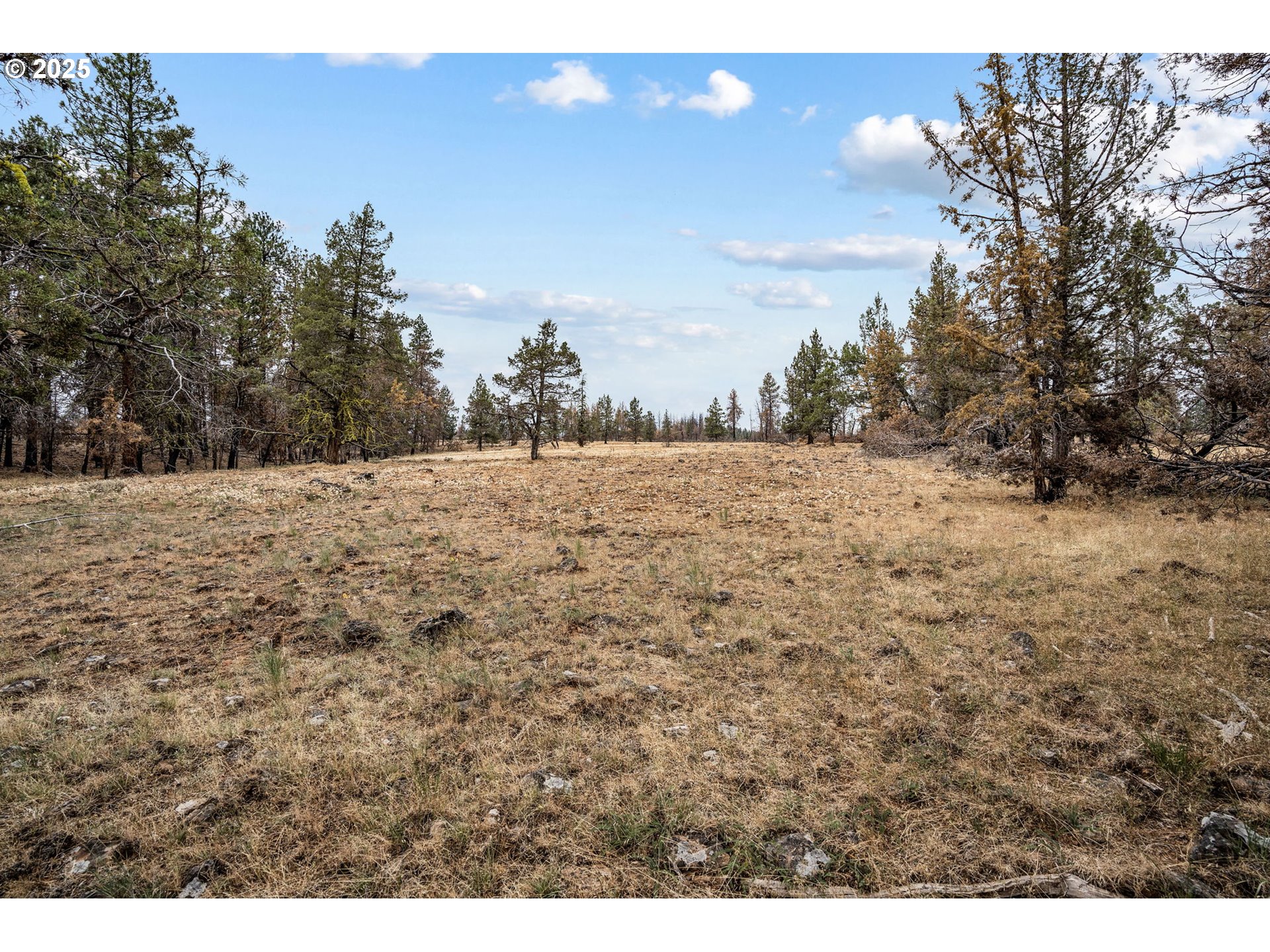 property viewer photo 26