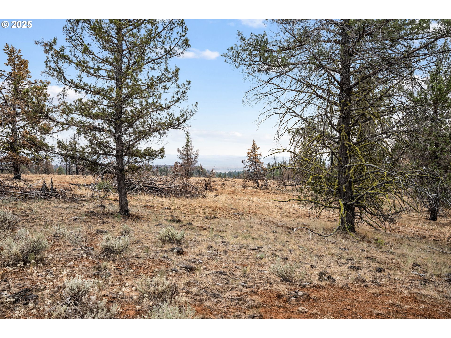 property viewer photo 27