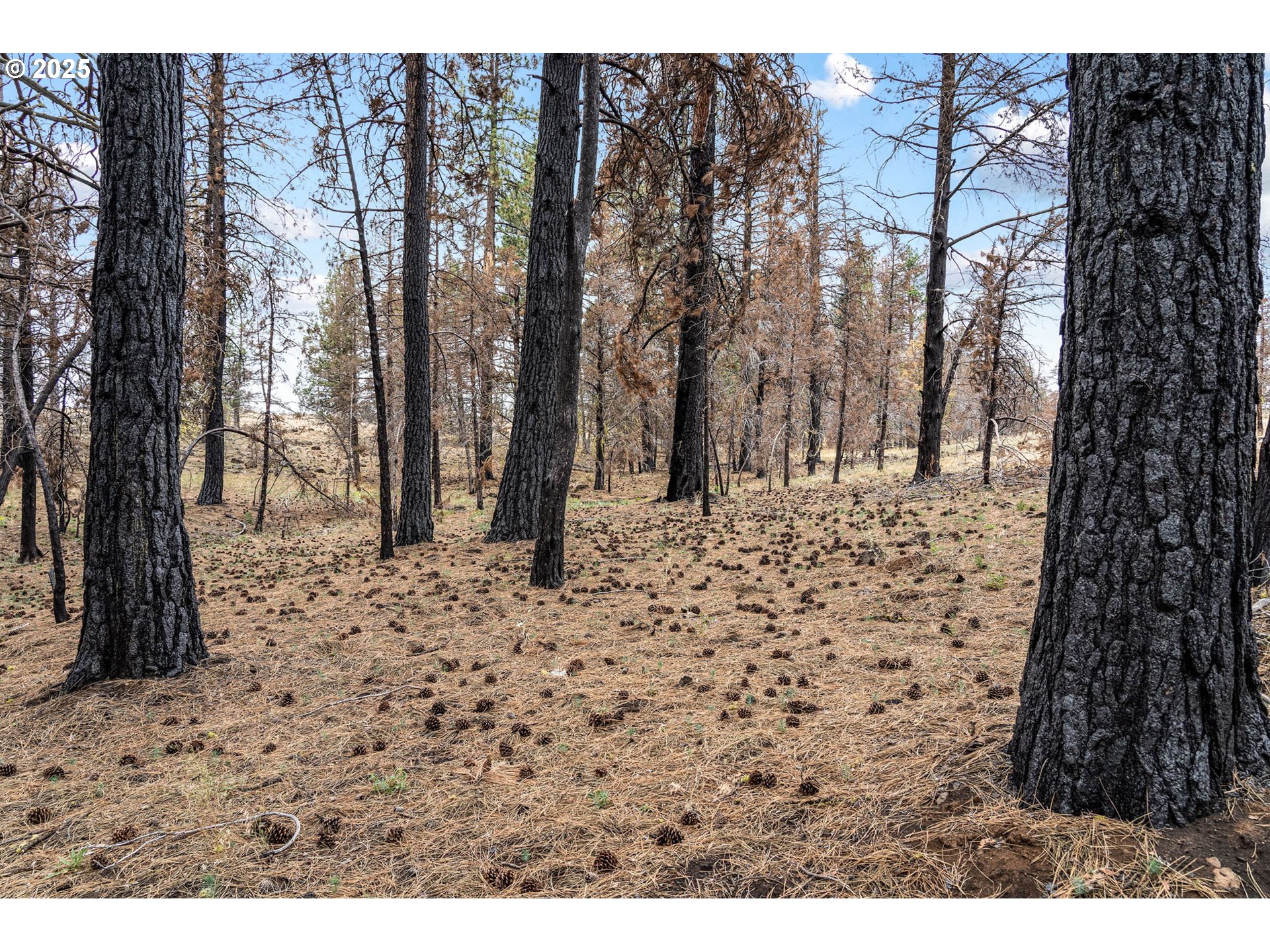 property viewer photo 28