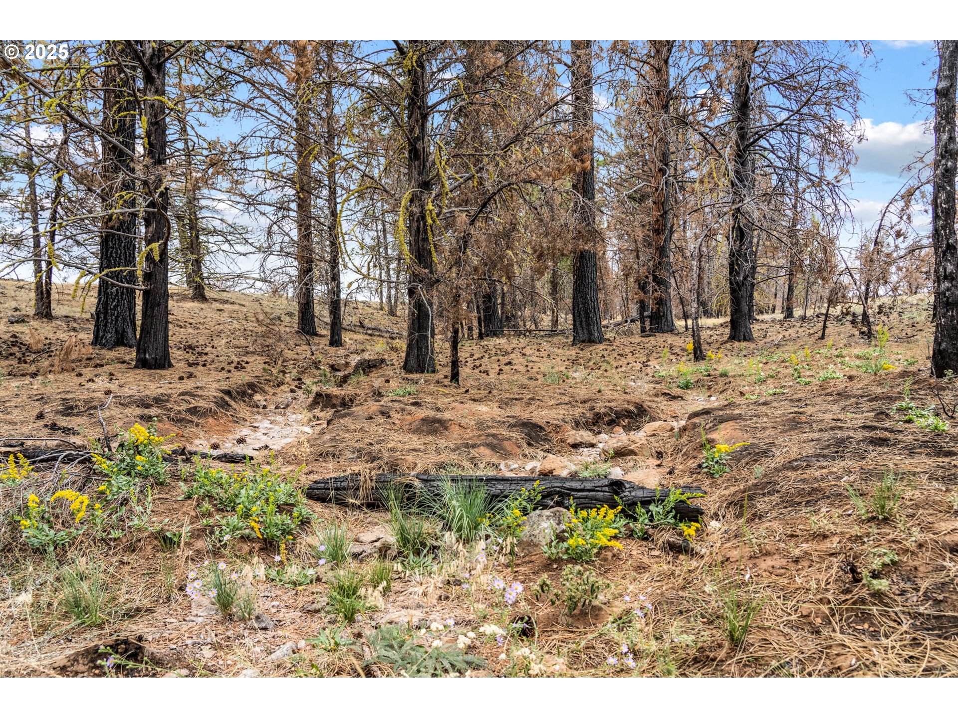 property viewer photo 3