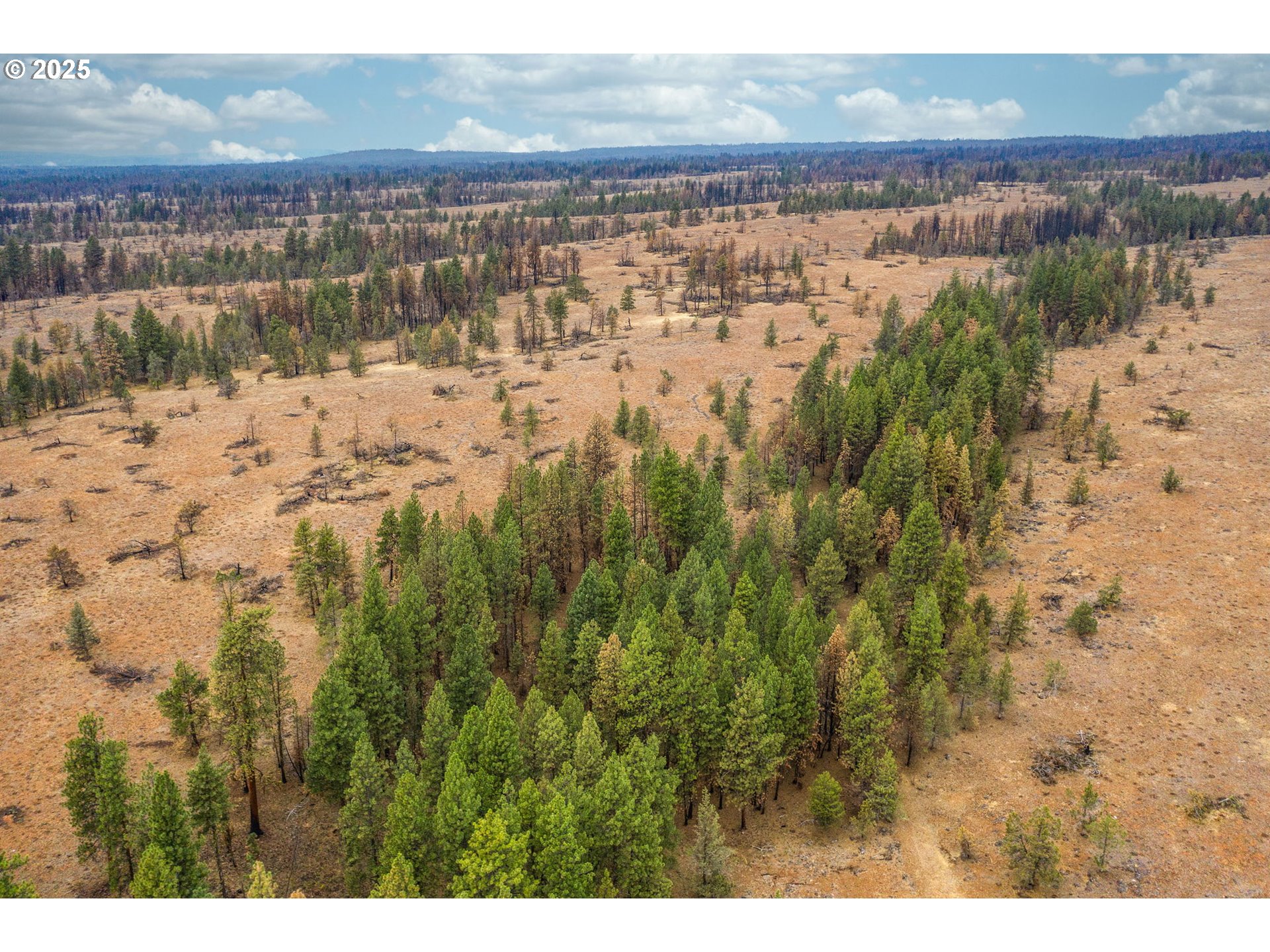 property viewer photo 37