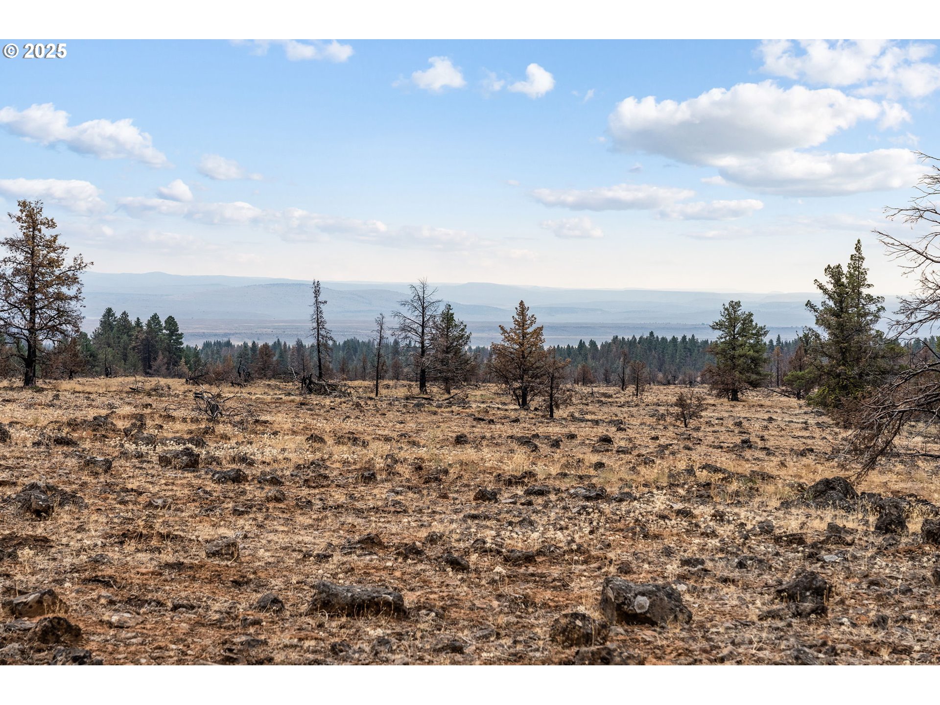 property viewer photo 5