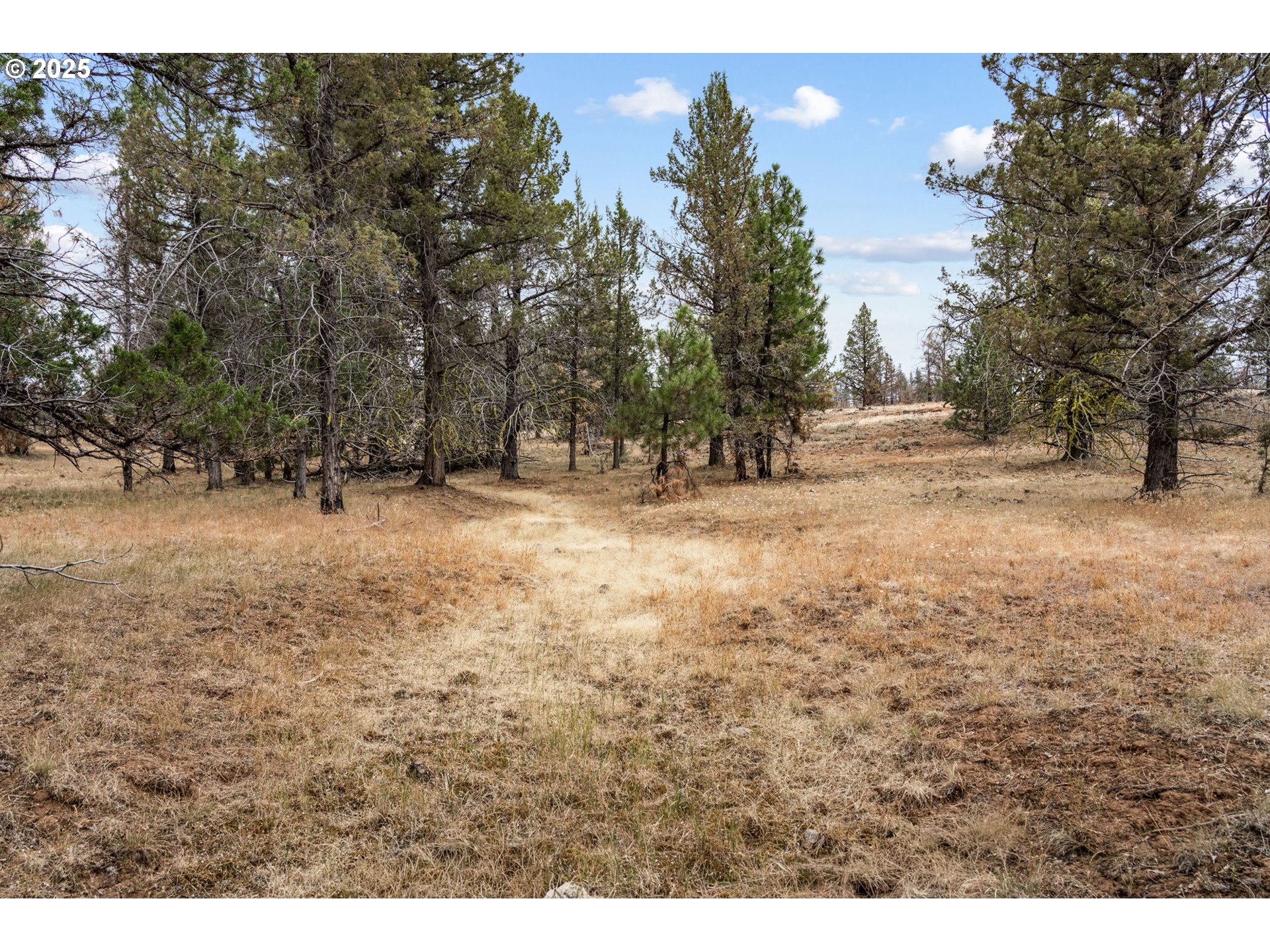 property viewer photo 6