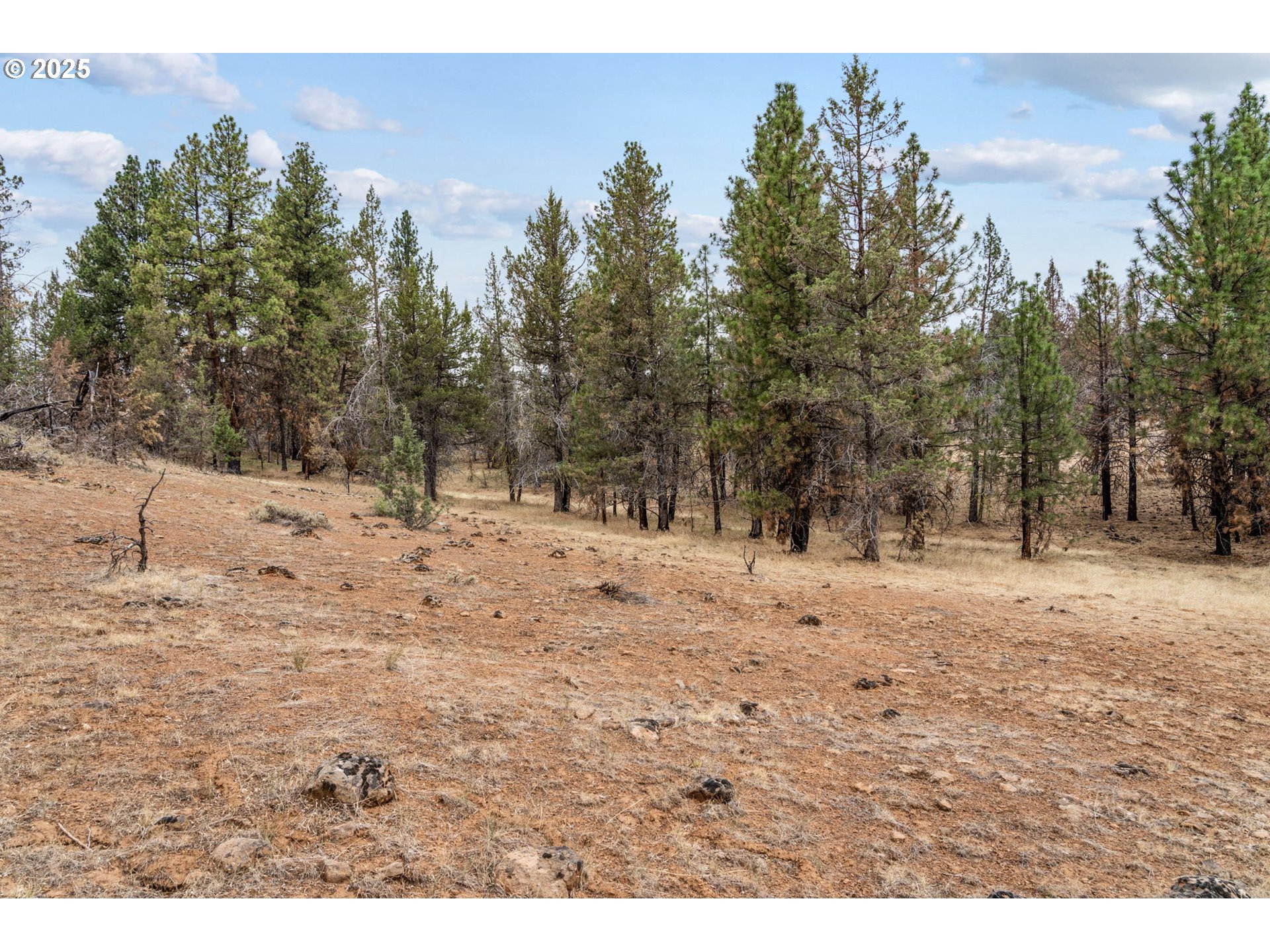 property viewer photo 7
