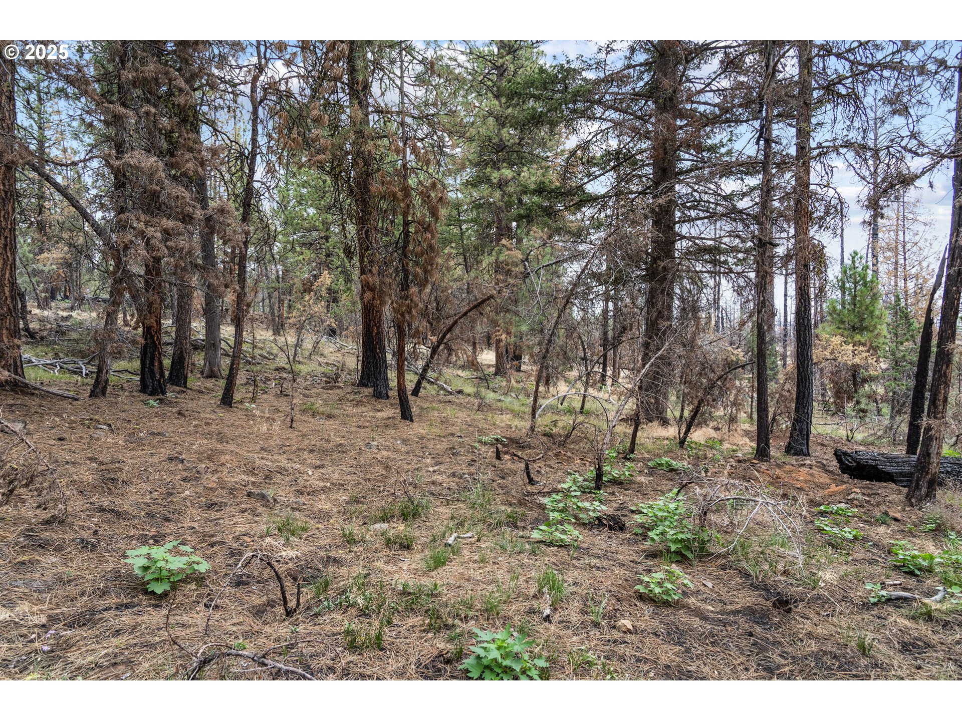 property viewer photo 8