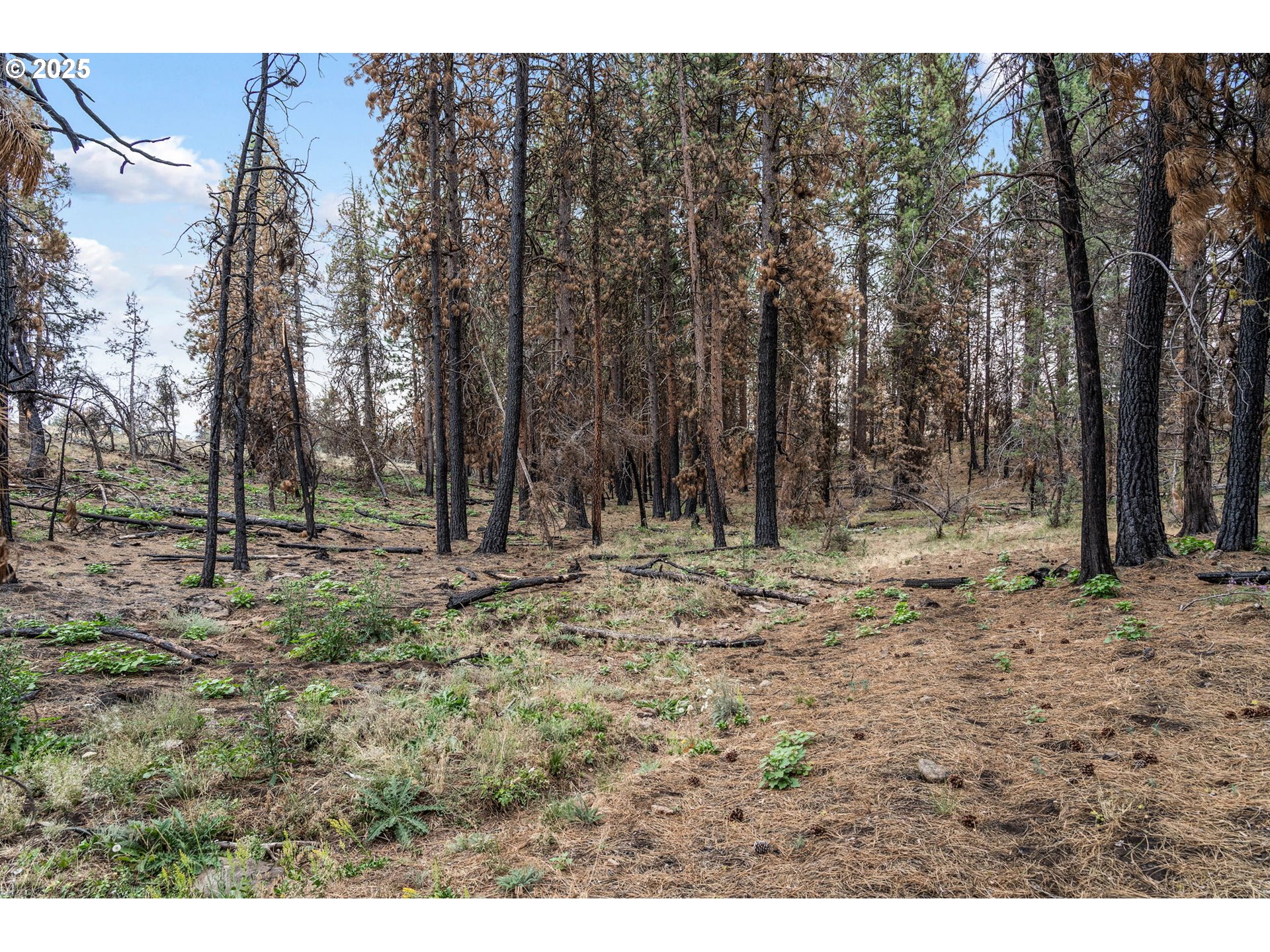property viewer photo 9
