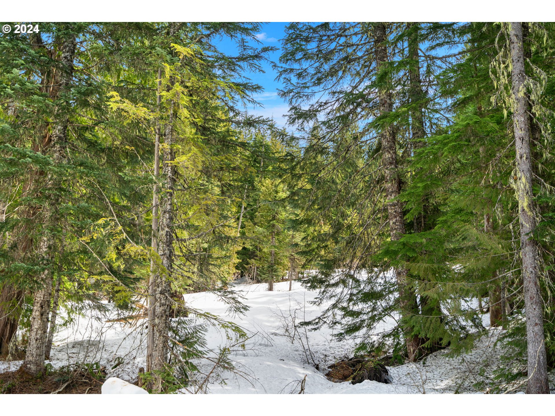 property viewer photo 26