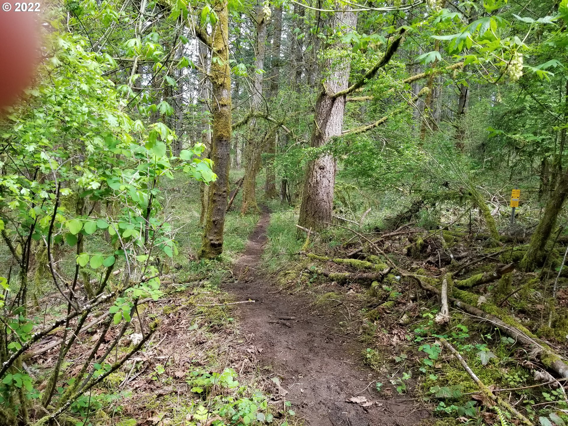 main property photo 19