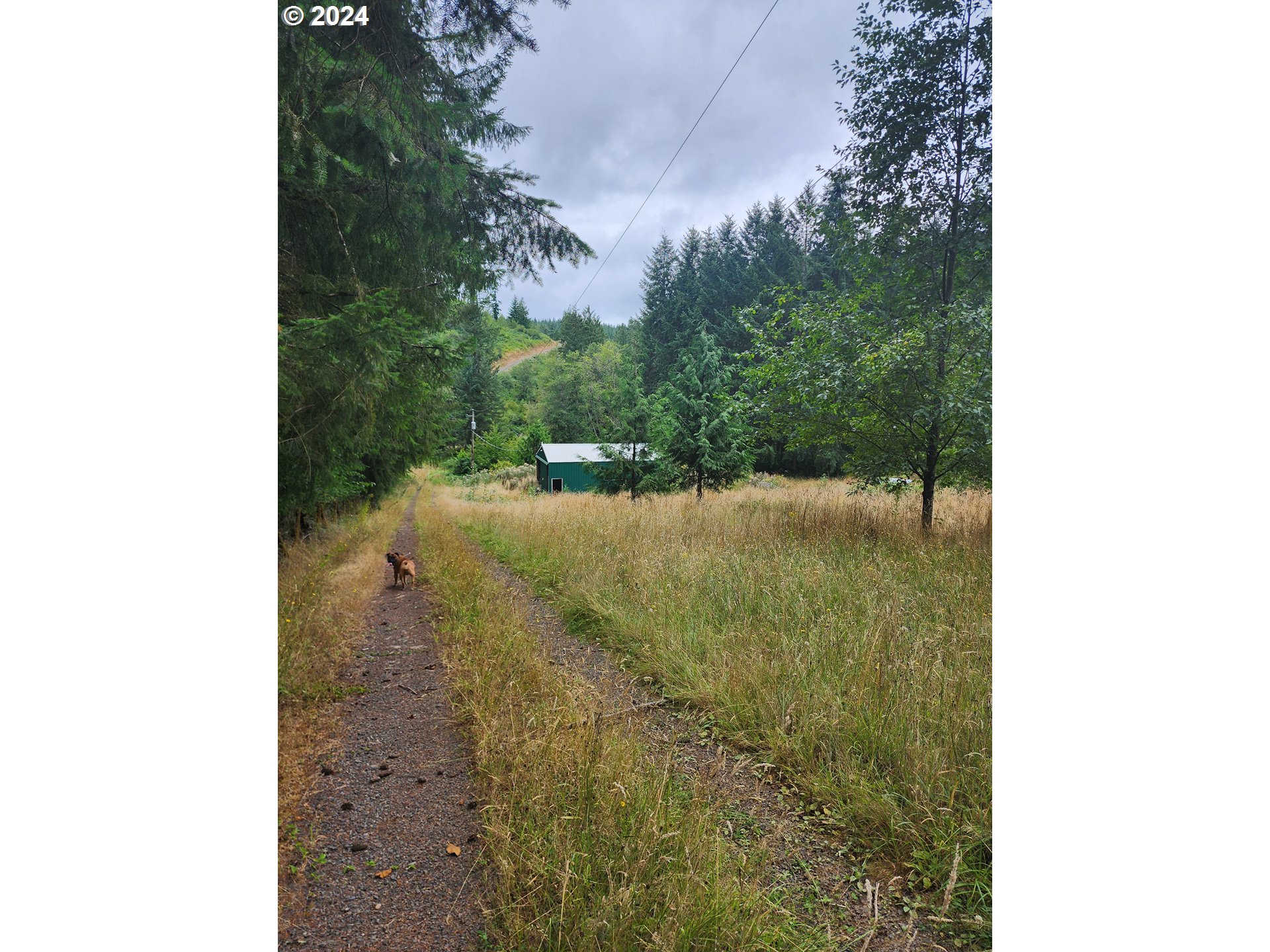 main property photo 16