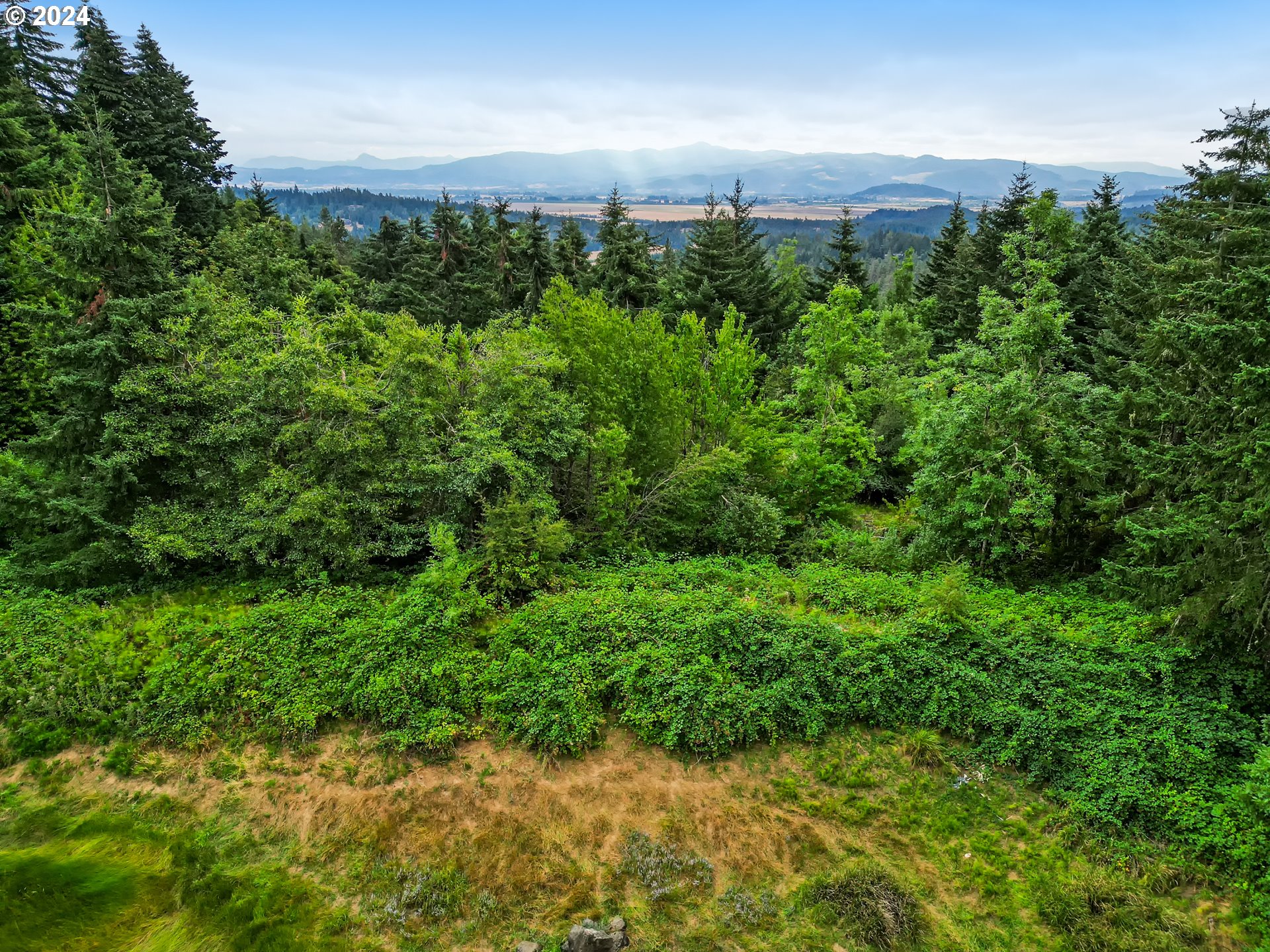 property viewer photo 2