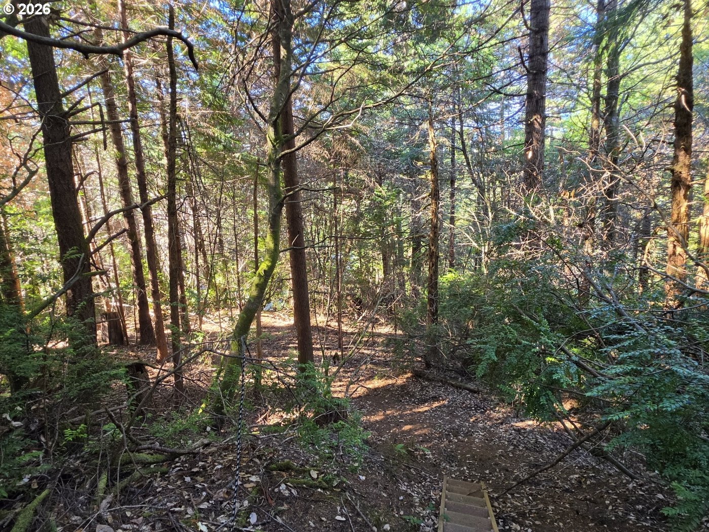 main property photo 33