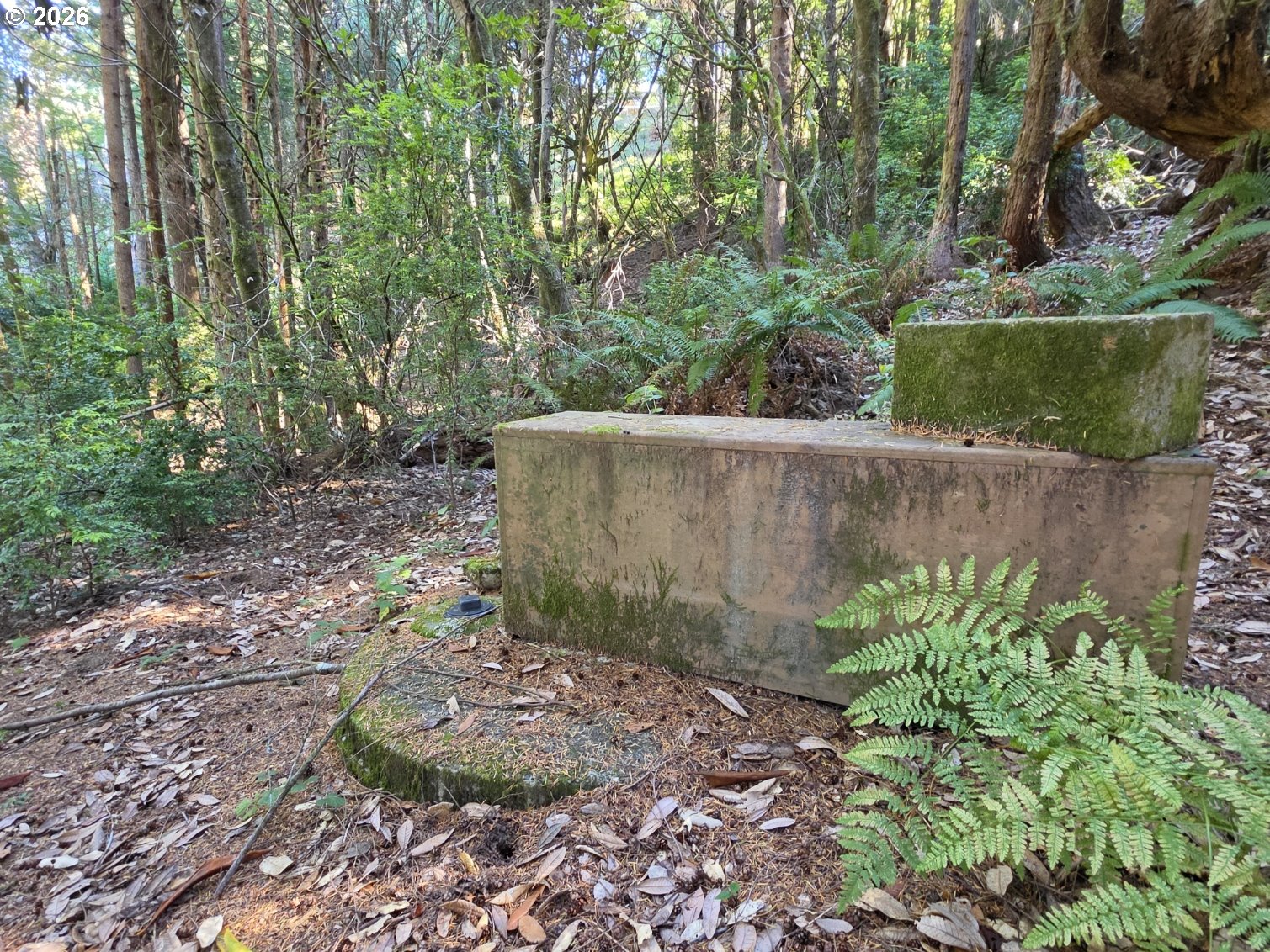 main property photo 34