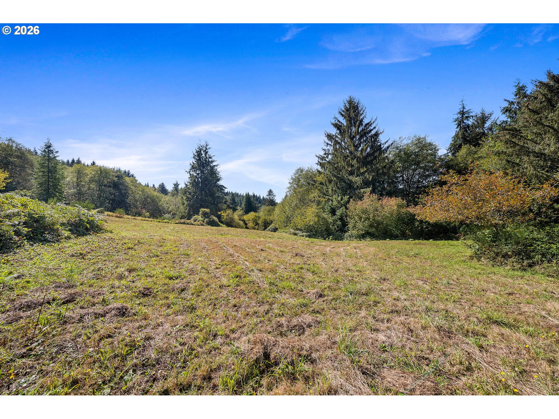main property photo 18