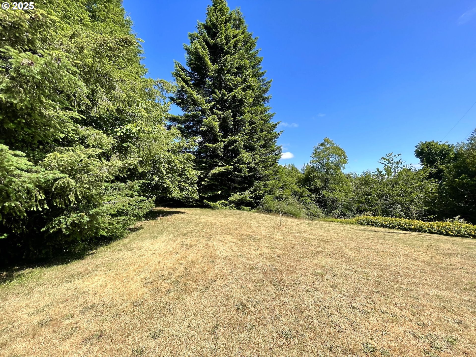 property viewer photo 41